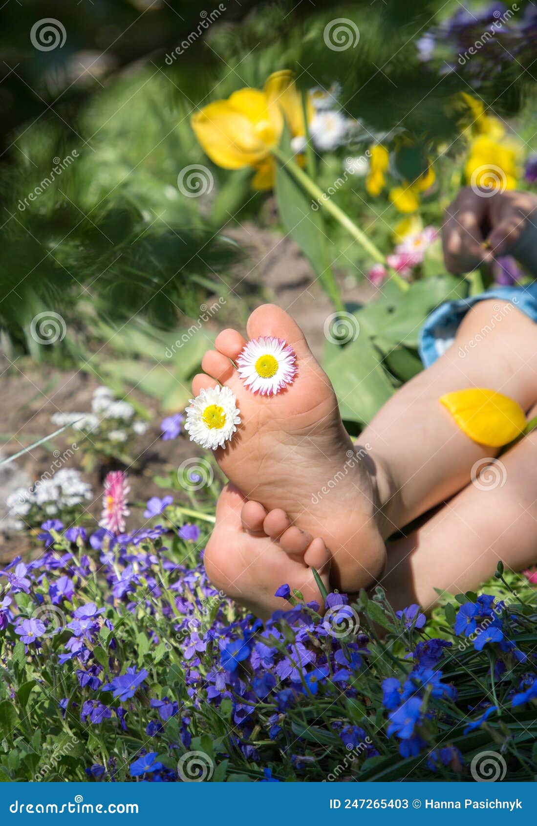 Two Feet Pampering Pedicure Wash In A Specialized Foot Spa With Massage Effect Stock Image