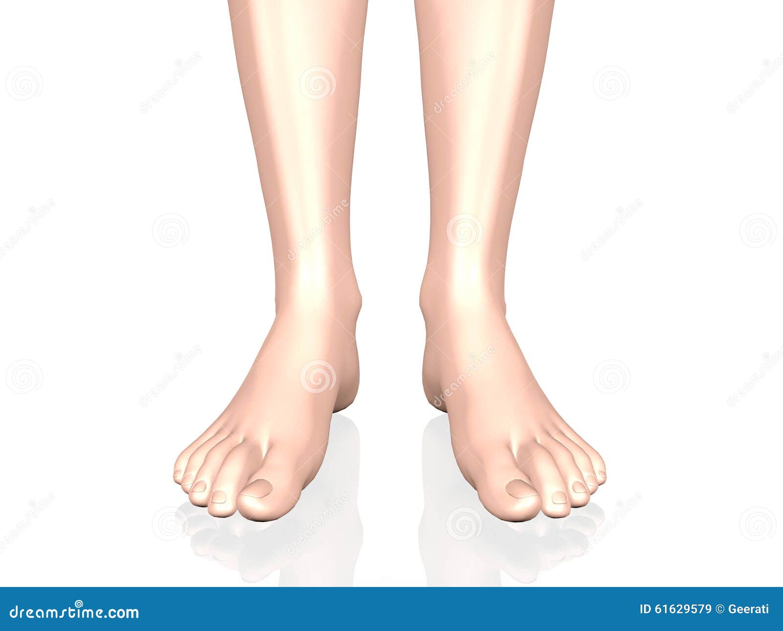 12 Selling Feet Pics Images, Stock Photos, 3D objects, & Vectors