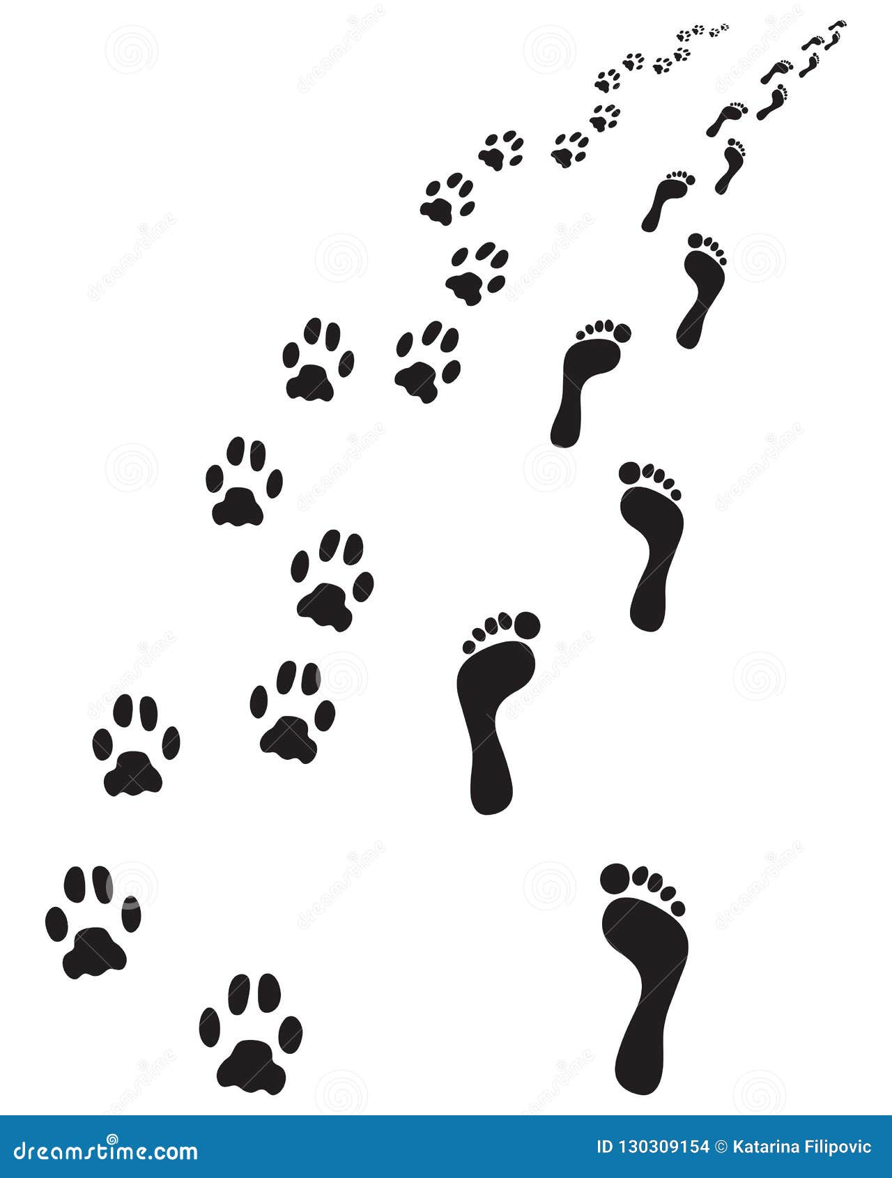 Bare feet and paws dog stock illustration. Illustration of vector