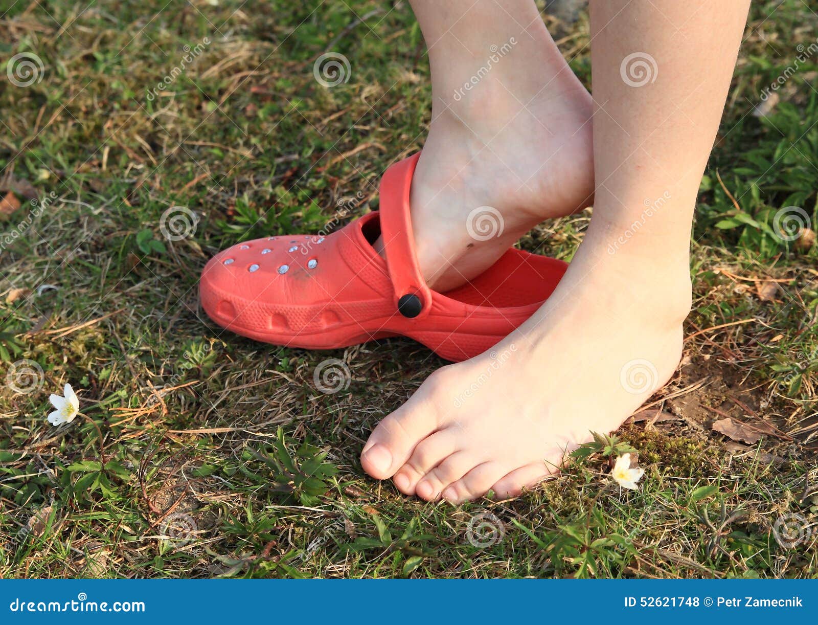 Shoe In Grass Stock Photography | CartoonDealer.com #2656868