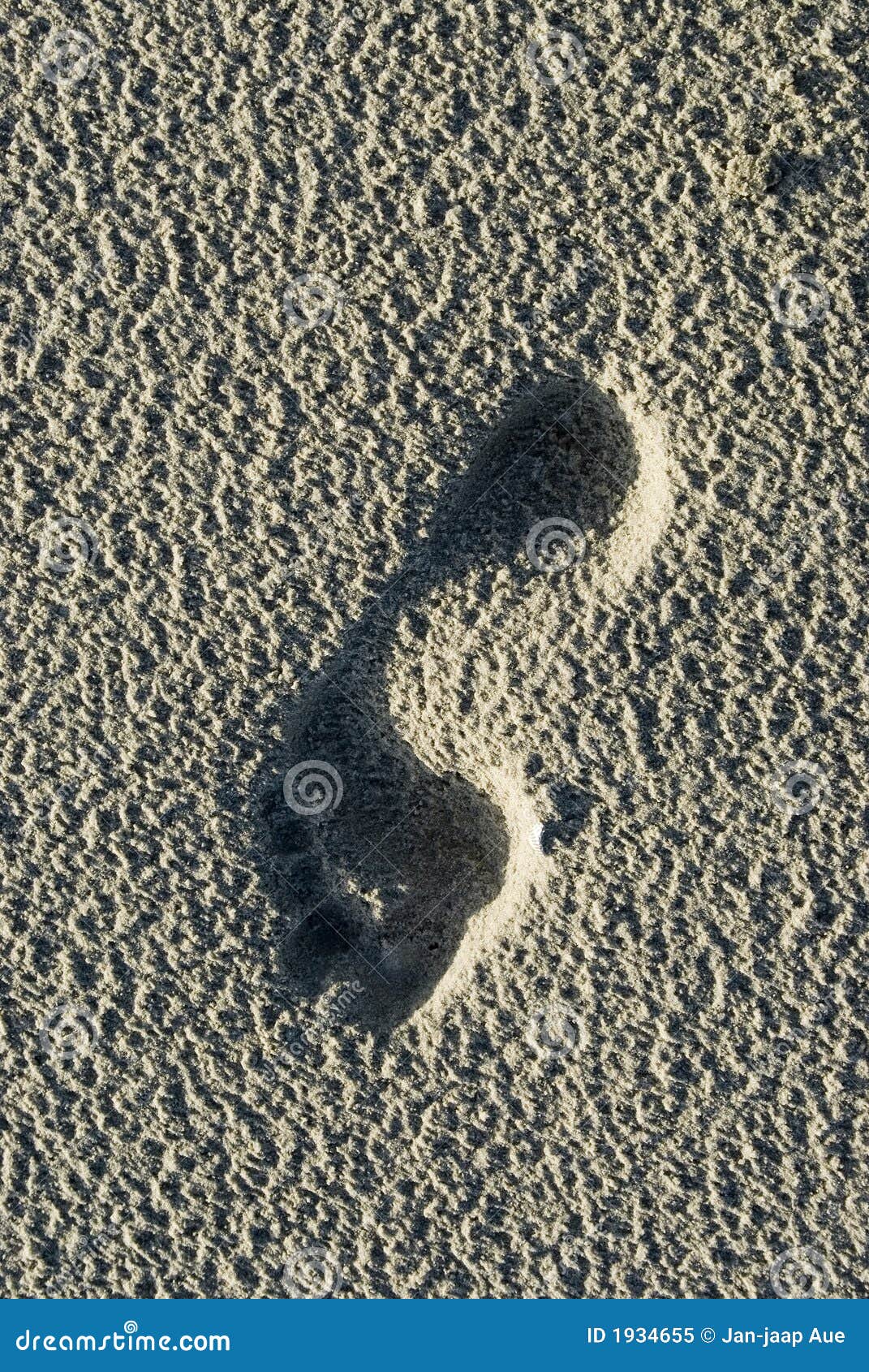 bare footprint on schiermonnikoog beach