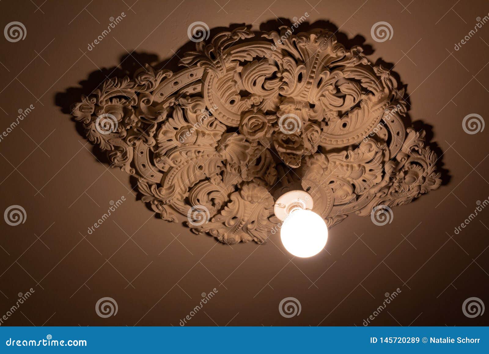 Bare Light Bulb Extending From An Extremely Ornate Cast