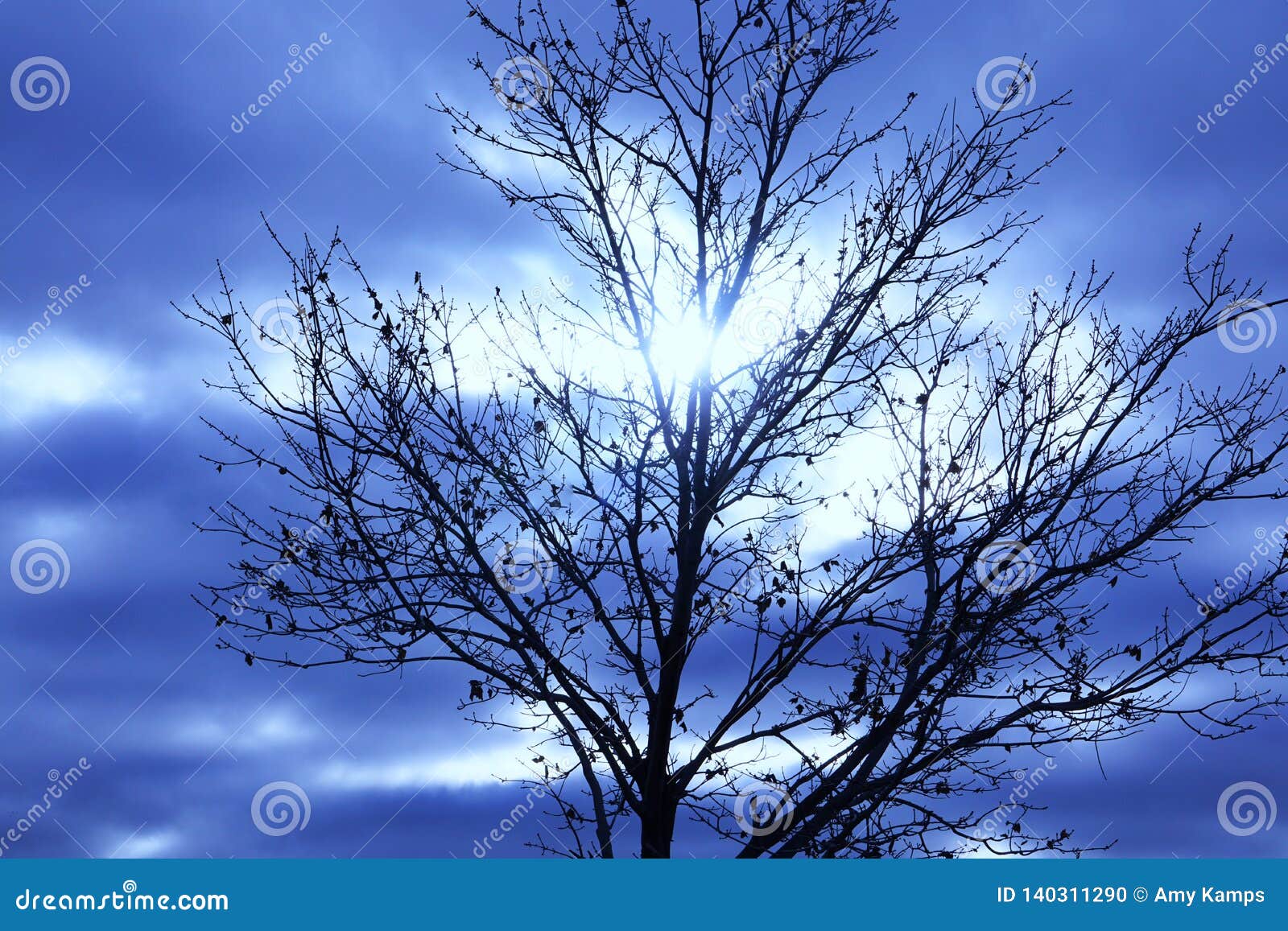 Sun Peeks Through Thick Clouds Behind Bare Tree Stock Photo Image Of