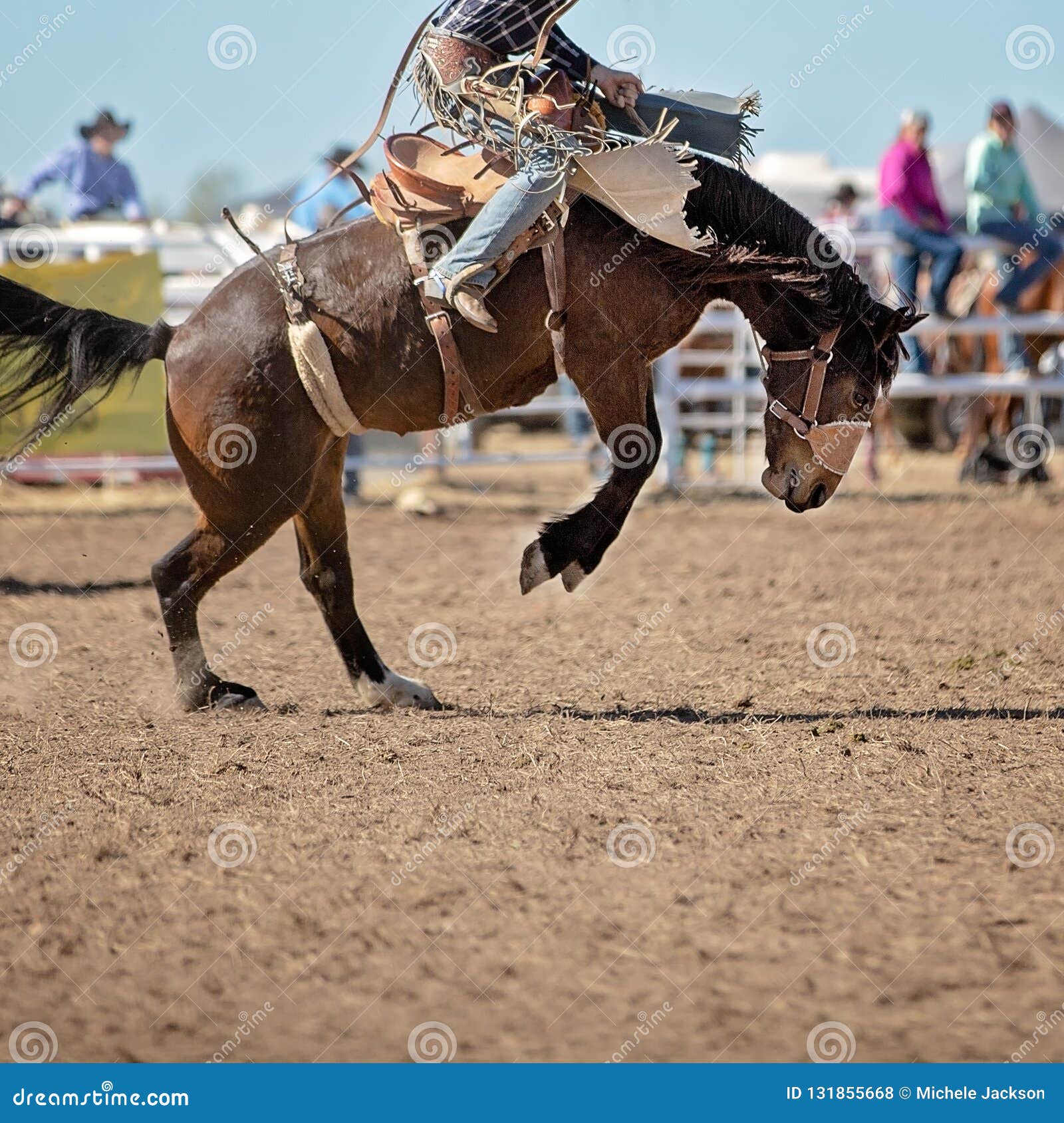 Greeley Stampede Rodeo Seating Chart