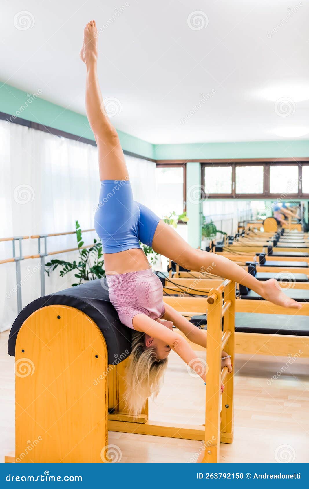 https://thumbs.dreamstime.com/z/barefoot-female-shorts-top-doing-upside-down-exercise-stretching-ladder-barrel-pilates-workout-sunlit-studio-263792150.jpg