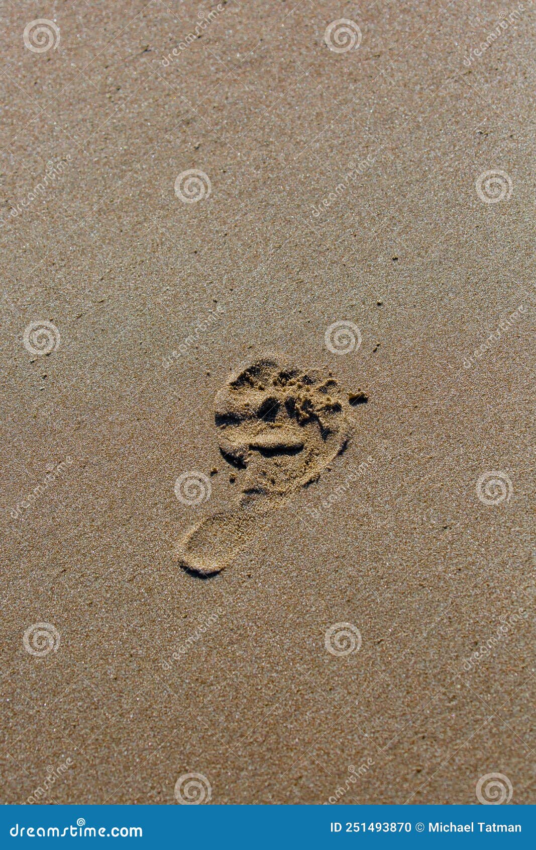 Barefoot Print on a Sand Beach in Oregon with Copy Space Stock Photo ...