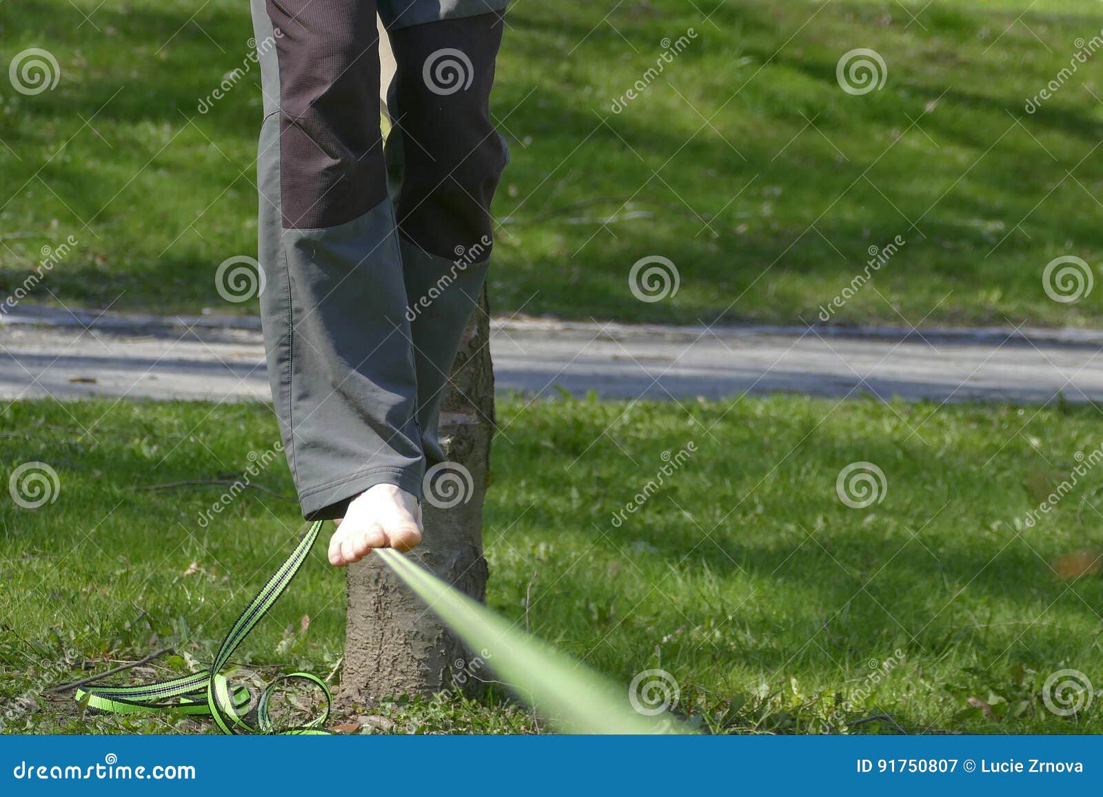 Barefoot Slackline Walker in a Park with Green Grass Stock Image