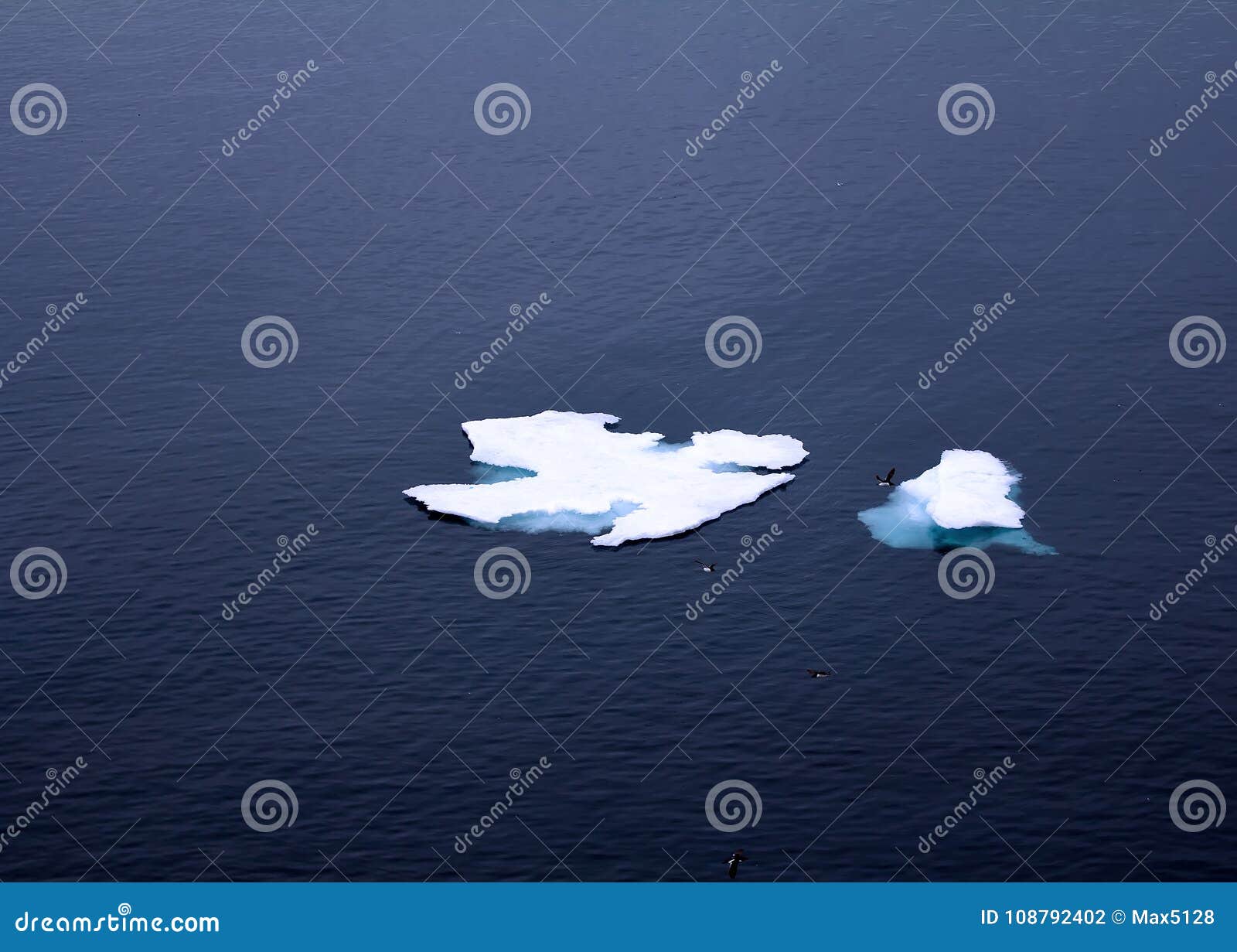 barents sea drift ice