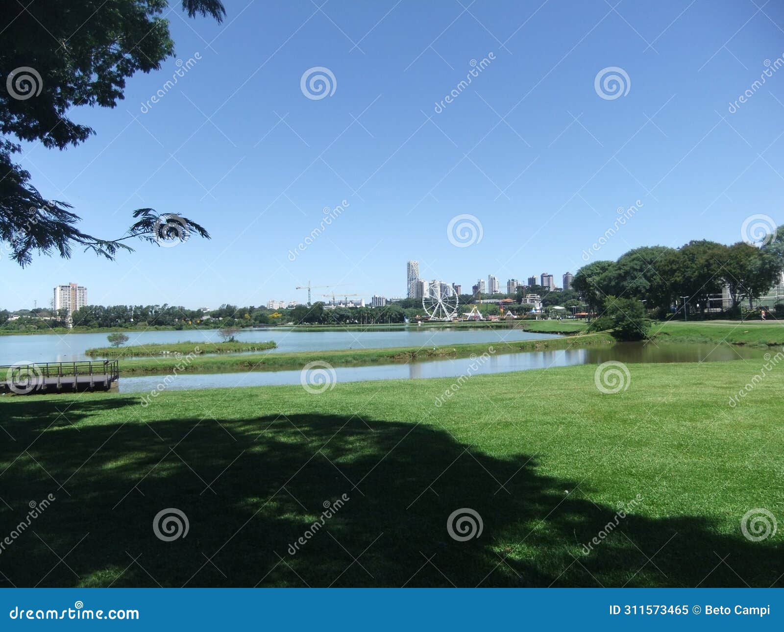 barigui park with blue sky, buildings in the background, trees and plants, lake