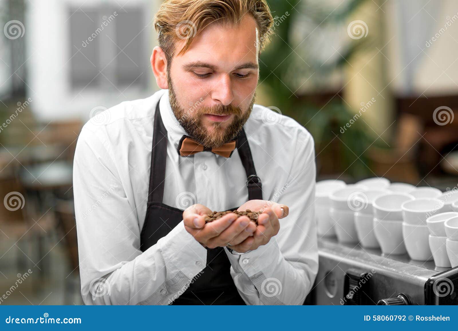 Barista Checking Coffee Beans at the Cafe Stock Photo Image of