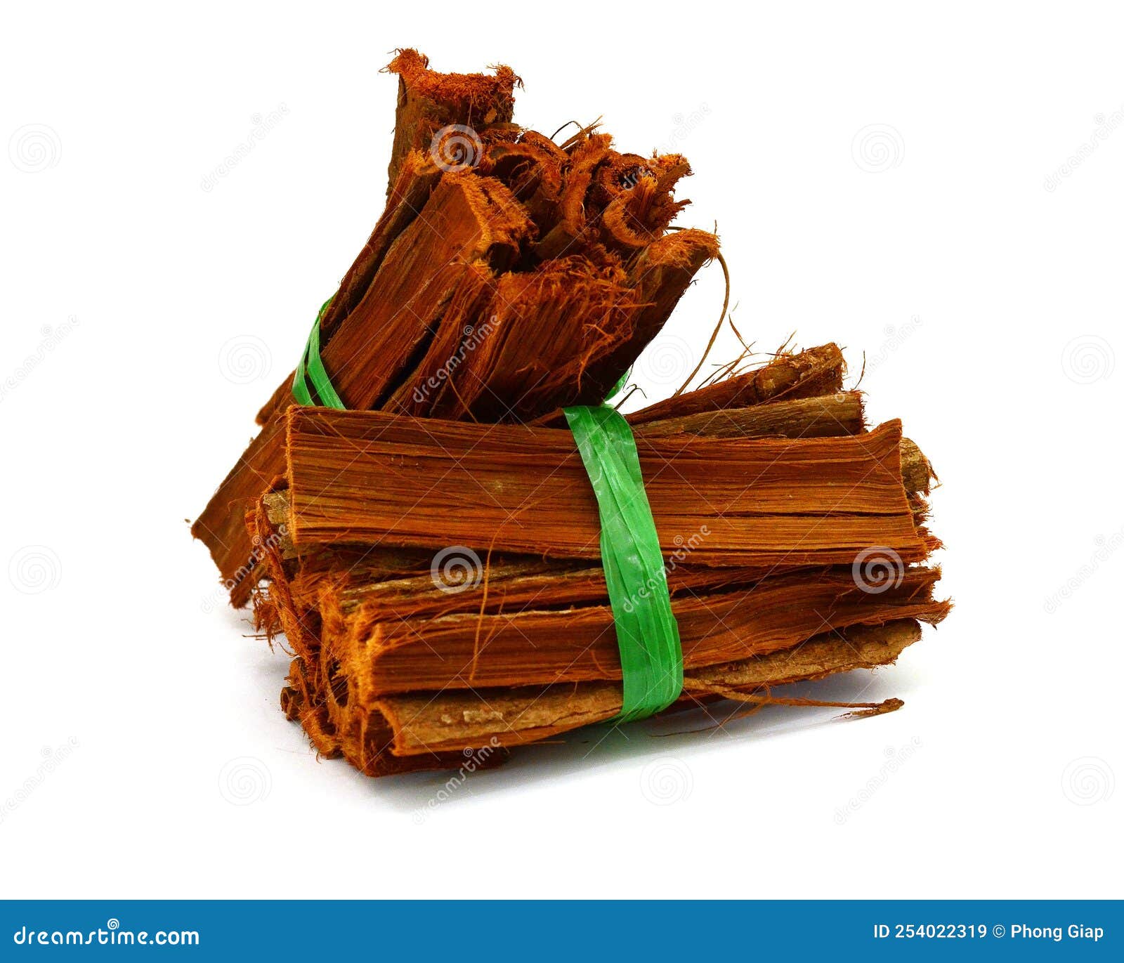 Bark of Medicinal Plant Cat`s Claw Stock Image Image of healing