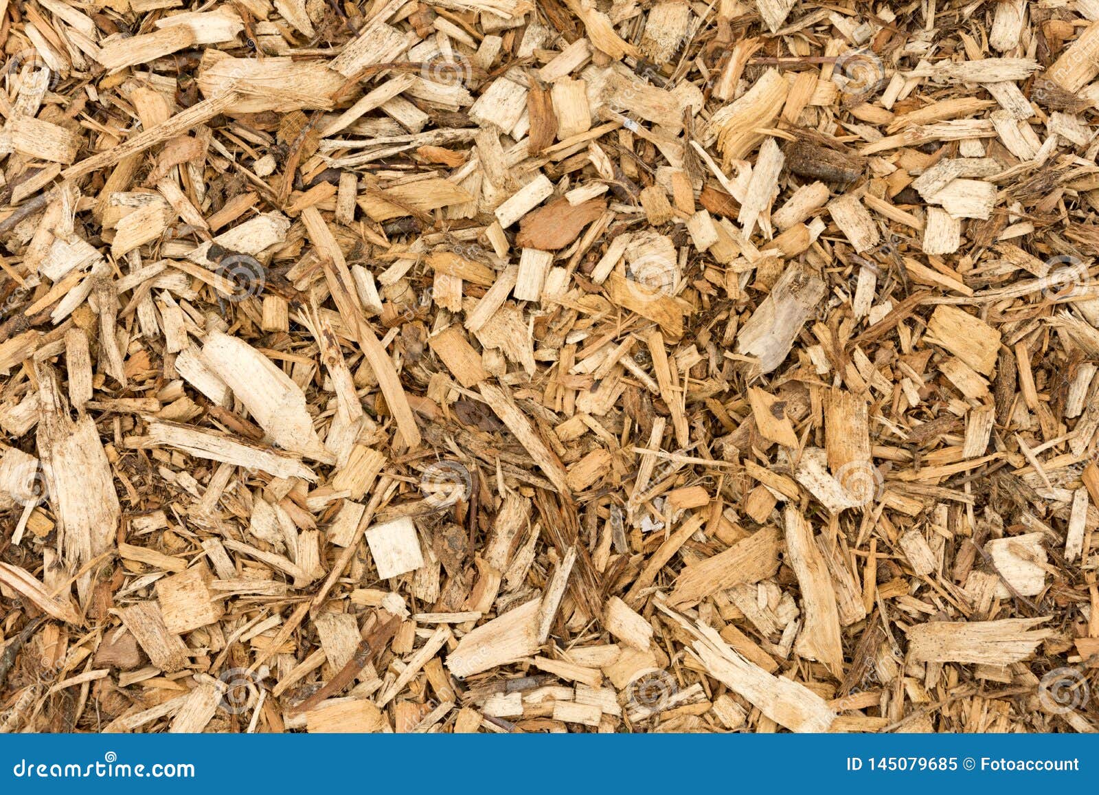 Bark Wood Chips for Landscaping Top View Abstract Background Stock