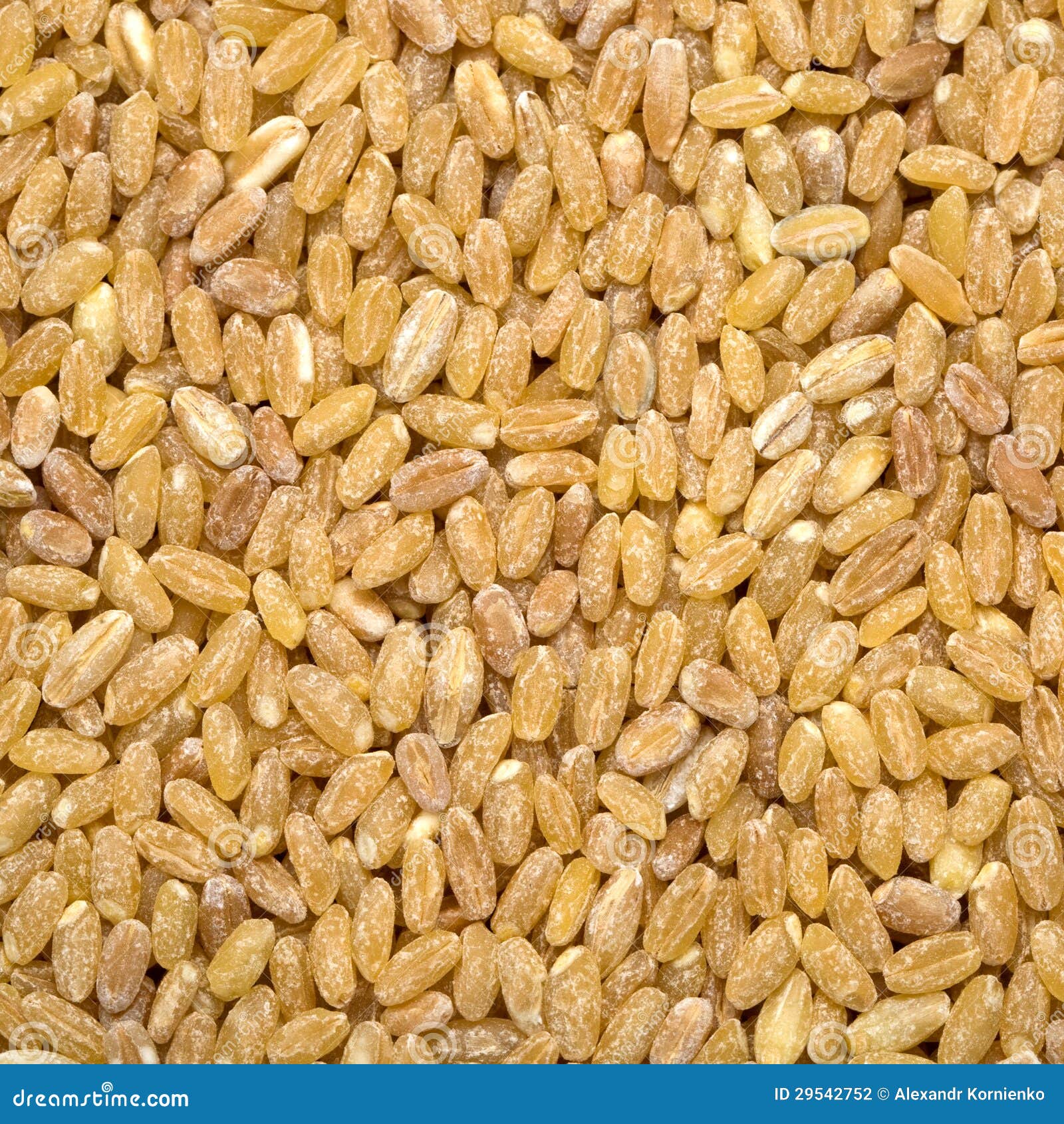 Barley background stock photo. Image of eating, ingredient - 29542752