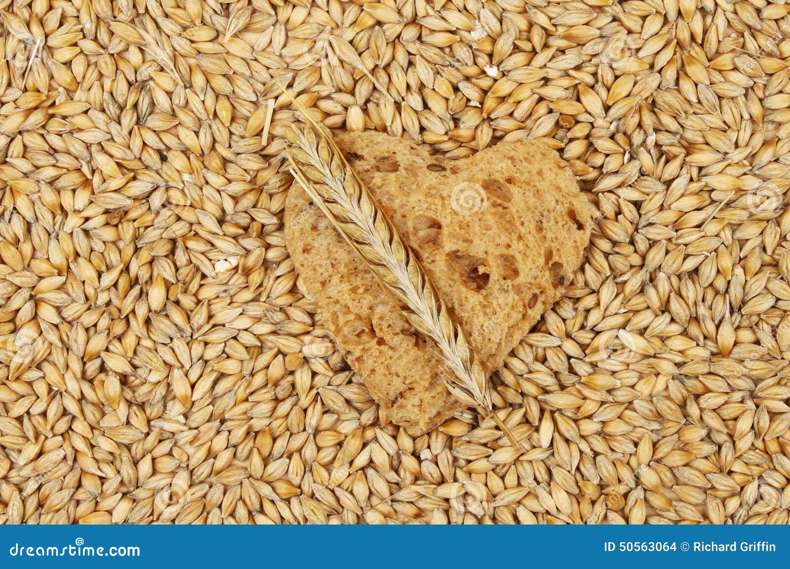 Barley and bread heart stock photo. Image of seed, brown - 50563064