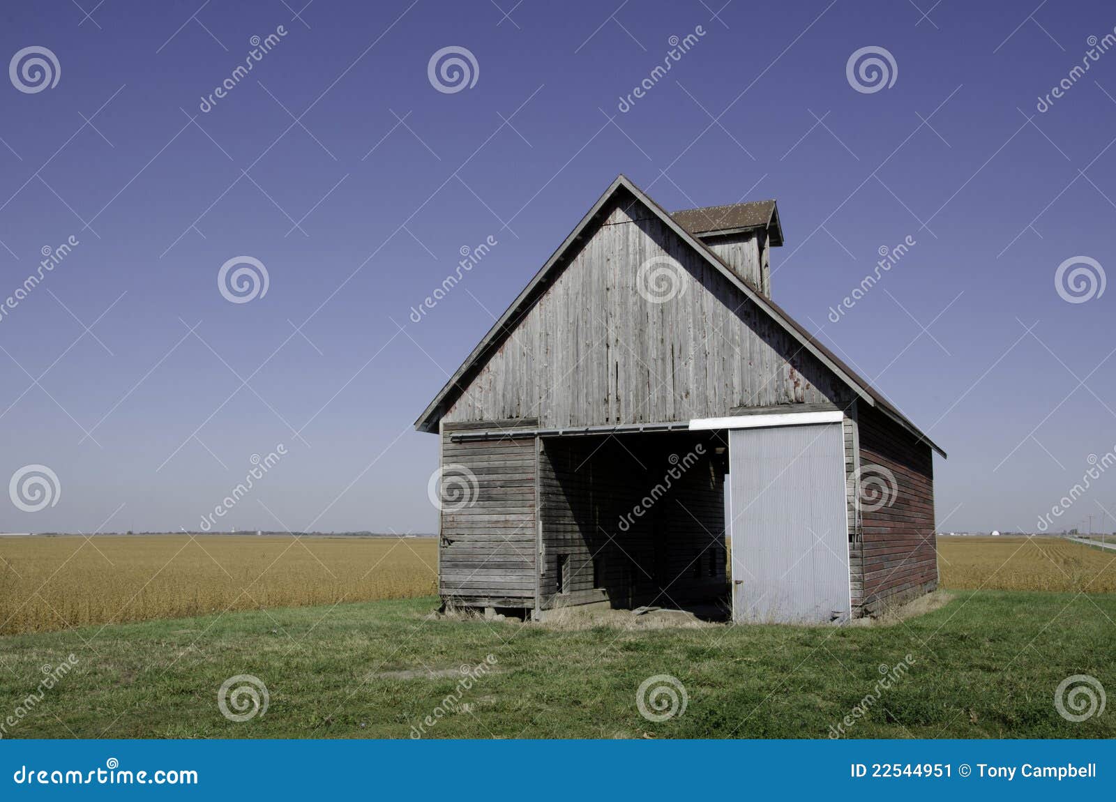 Barn with Bean Field and Blue Sky Stock Image Image of nature, farm