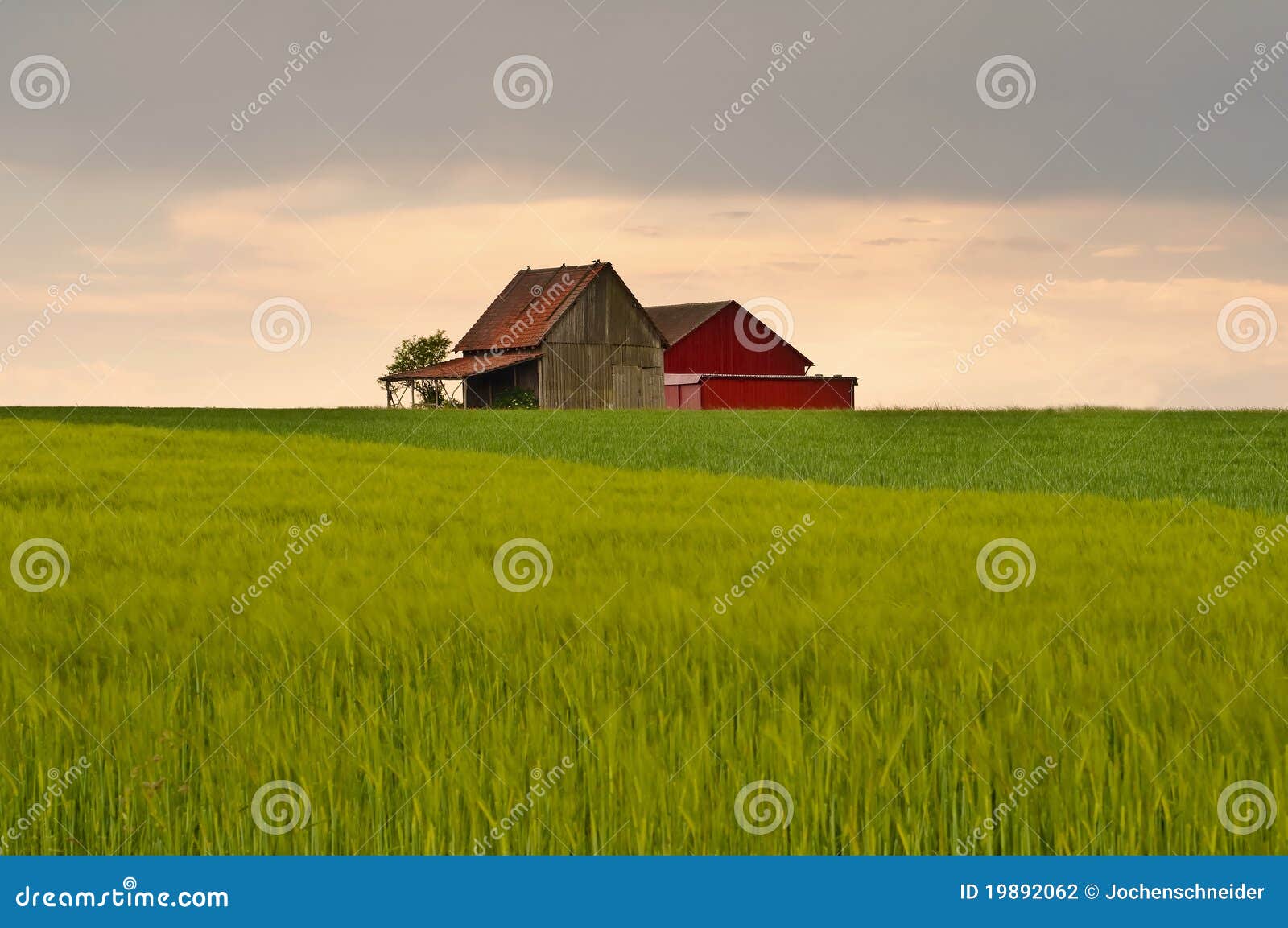 Barn in sunset light stock photo. Image of building, agriculture - 19892062