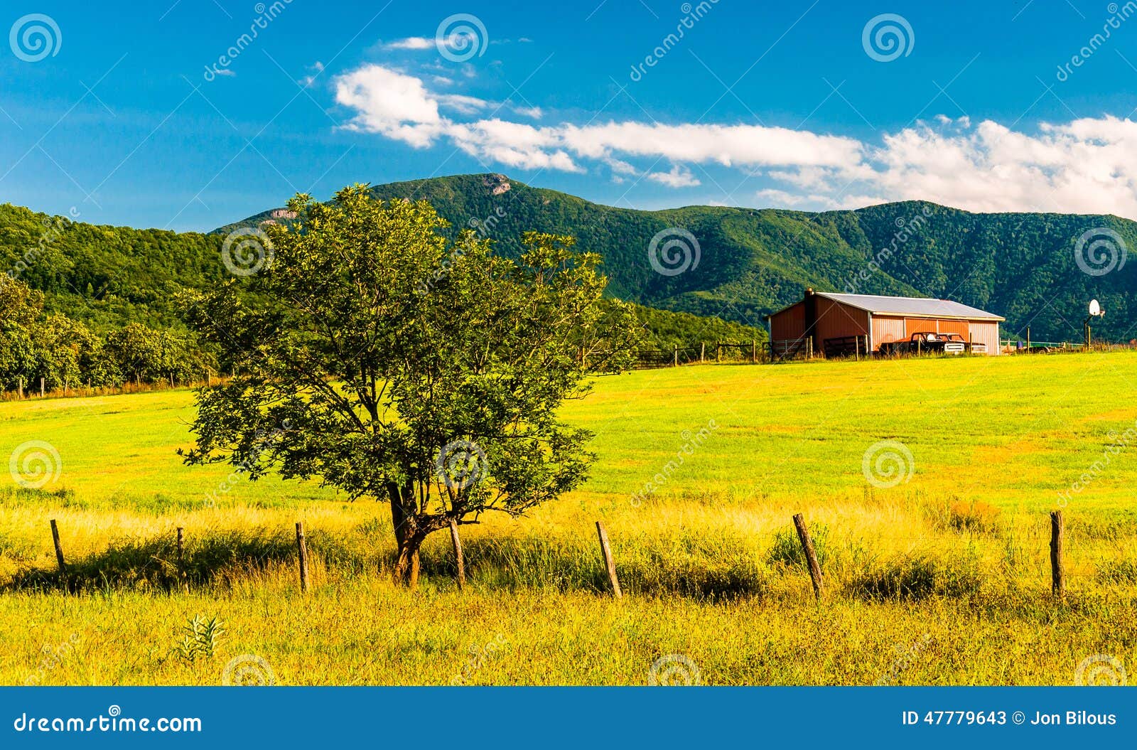 barn, tree and view of the appalachians in the shenandoah valley