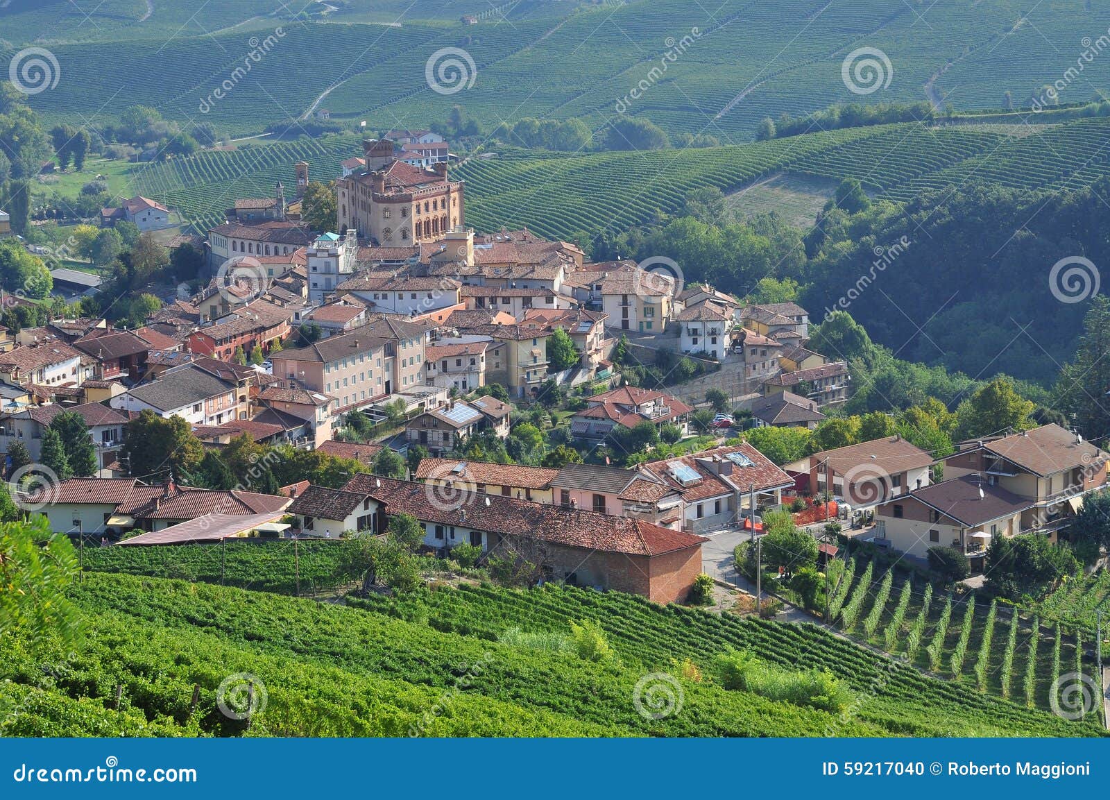 barolo, vineyard and hills of the langhe region. piemonte, italy
