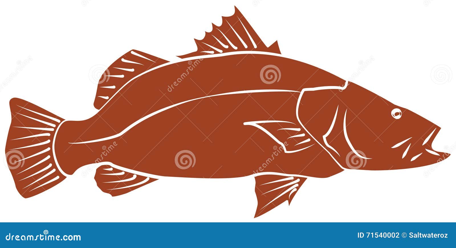 Barramundi Stock Illustrations – 152 Barramundi Stock Illustrations,  Vectors & Clipart - Dreamstime