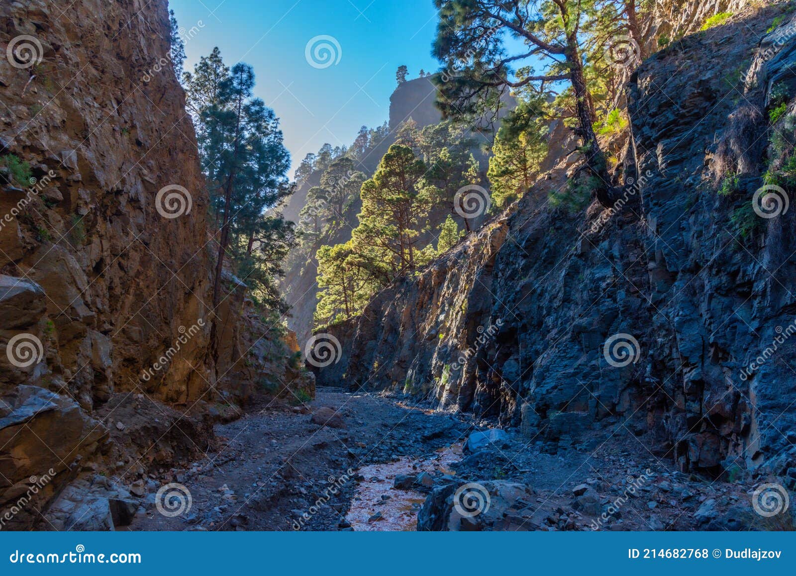 barranco de las angustias at caldera de taburiente at la palma, canary islands, spain