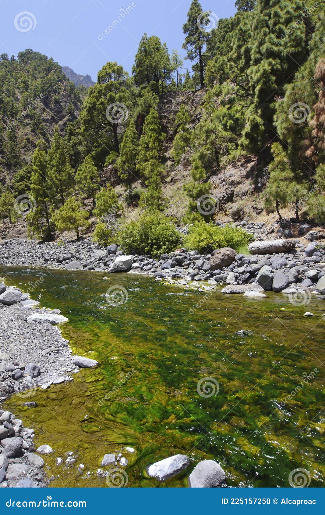 barranco de las angustias, caldera de taburiente national park, canary islands, spain