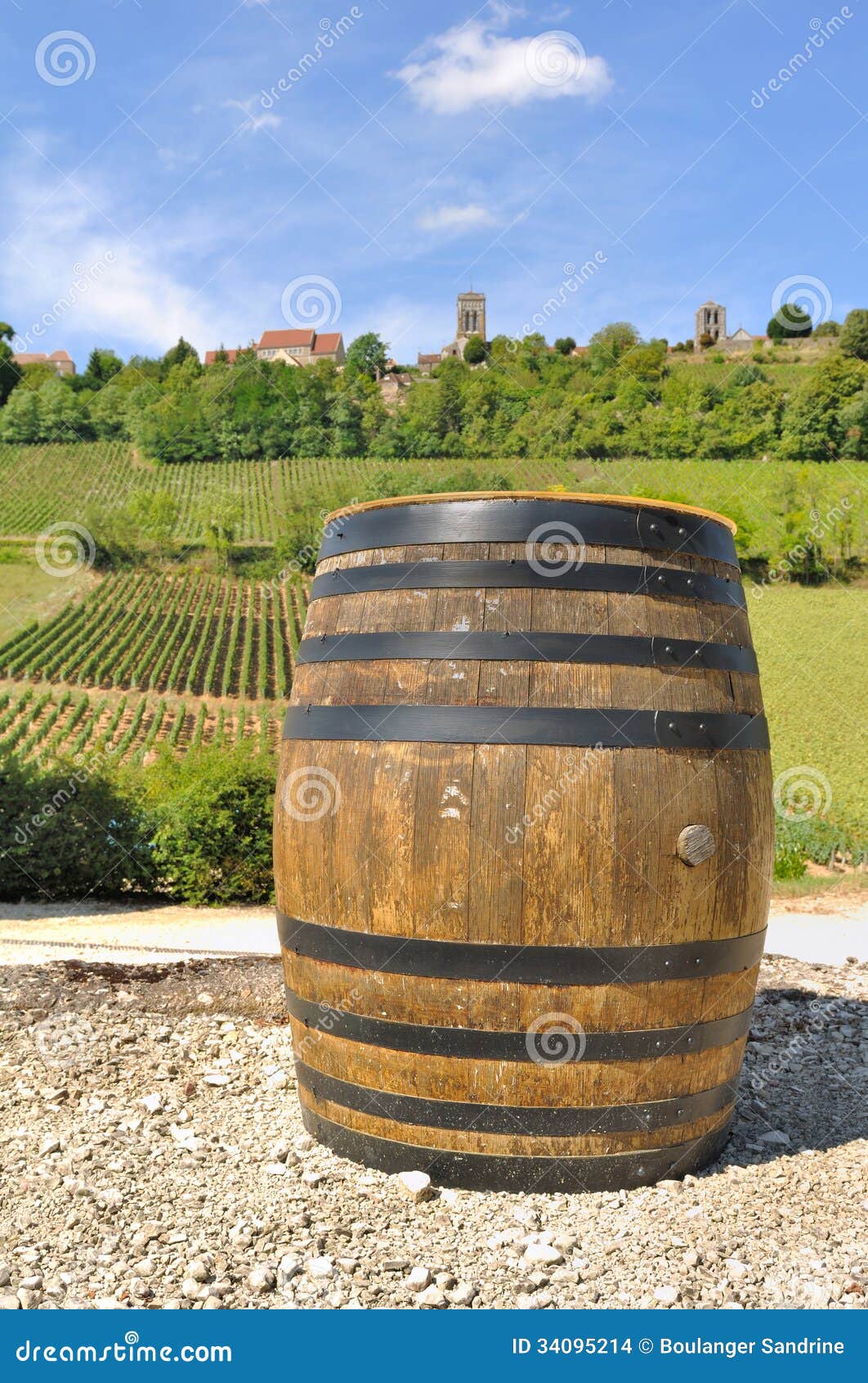 Barrel front of vines stock photo. Image of agriculture 34095214