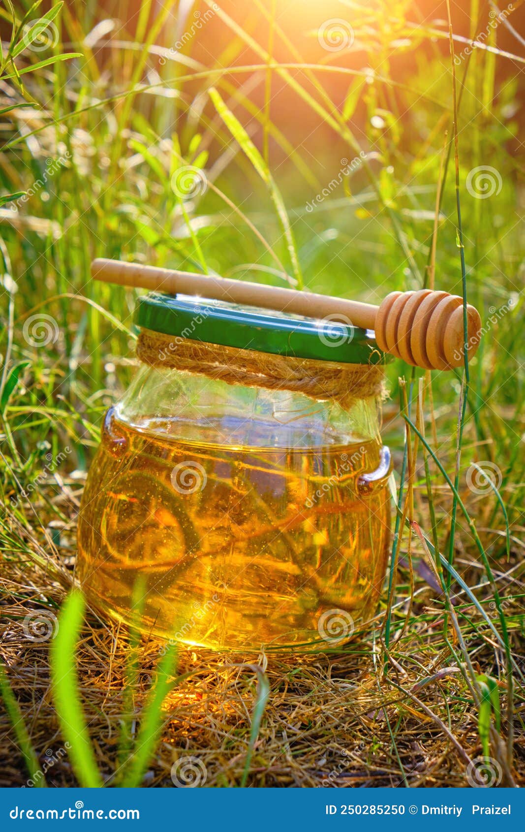 Barrel Honey and Spoon for Honey in Summer Green Grass Stock Photo