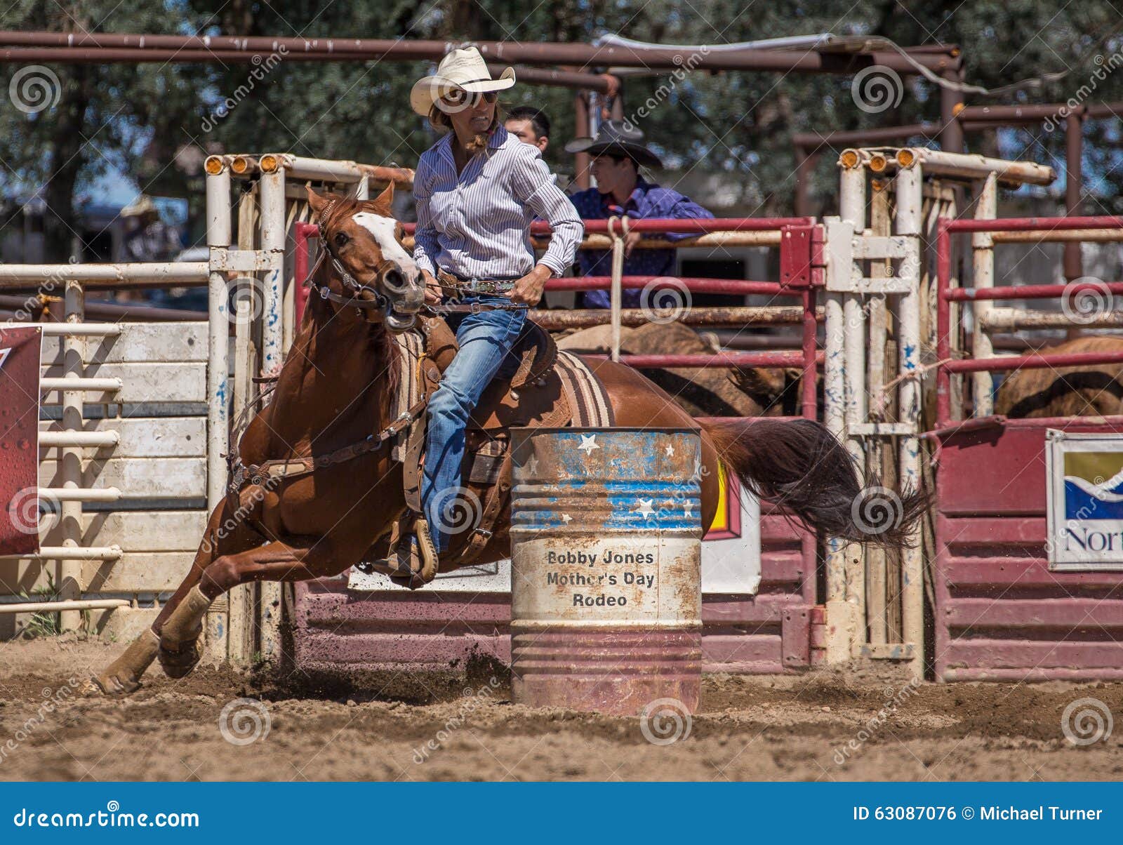 what do professional barrel racers feed their horses what do professional barrel racers feed their horses