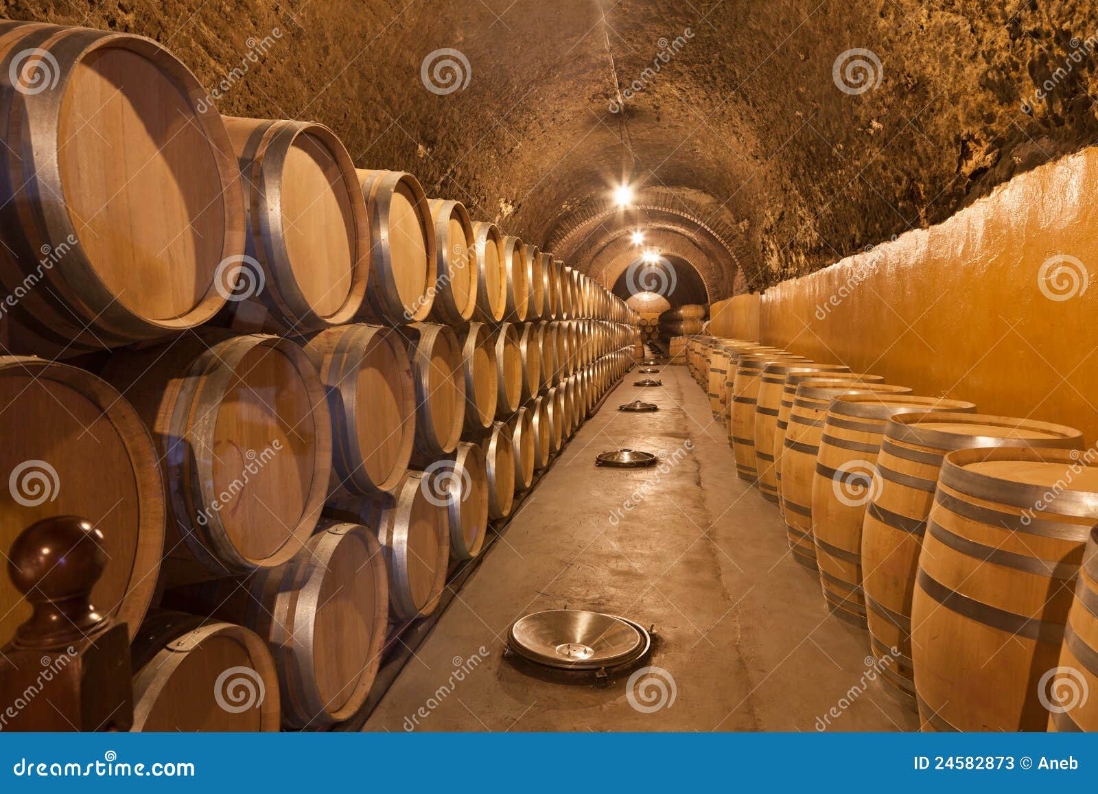 Barrels of wine stock image. Image of drink, container 24582873