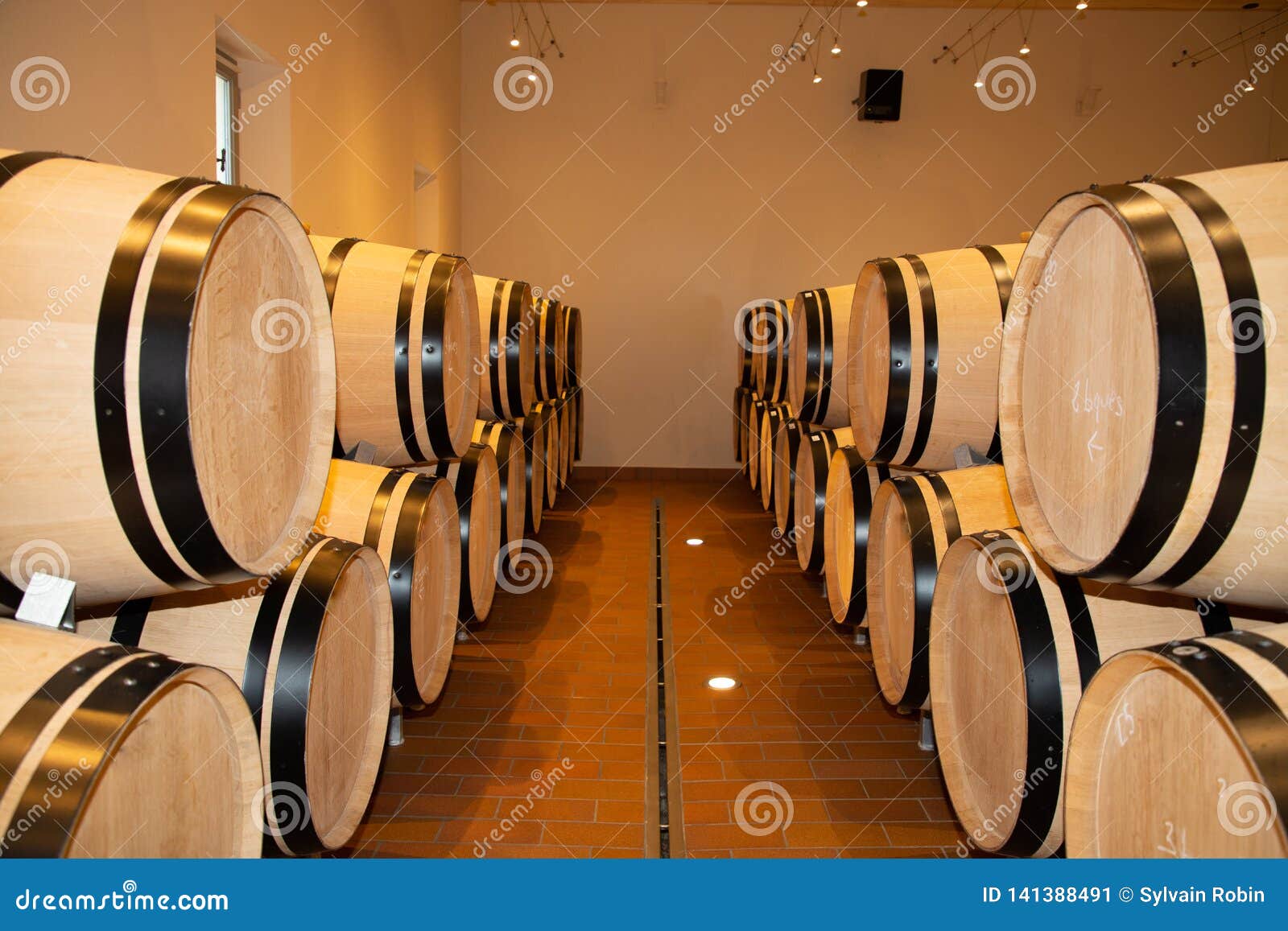Barrels of Wine in the Barrel Cellar in a Modern Winery Stock Image
