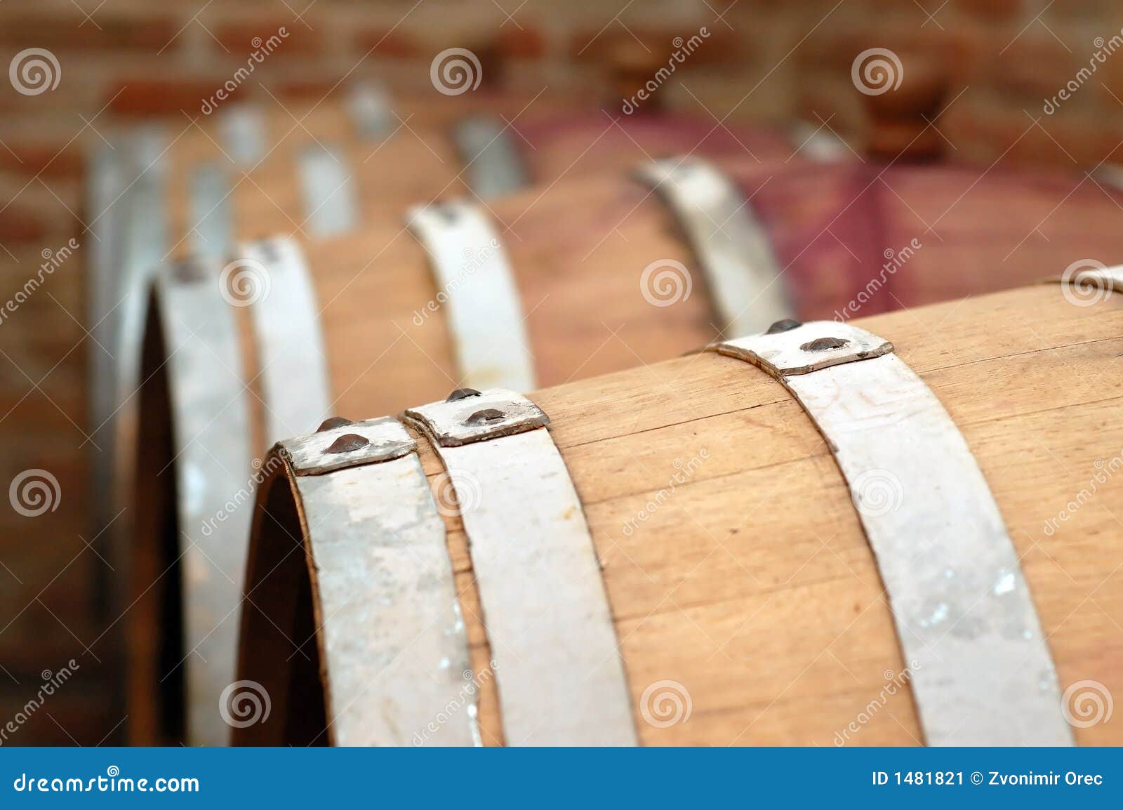 Wooden barrels in wine cellar