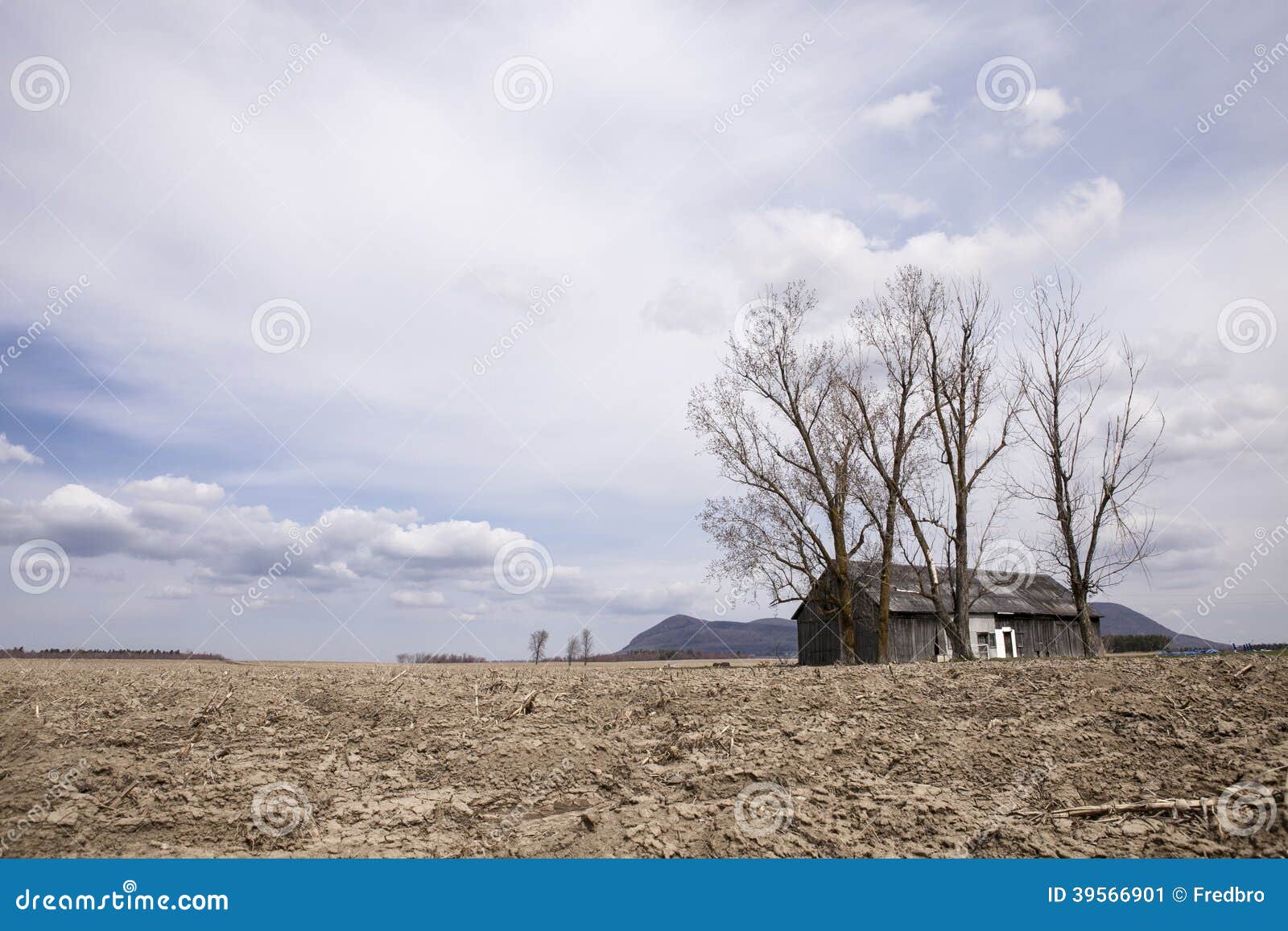 barren field and barn