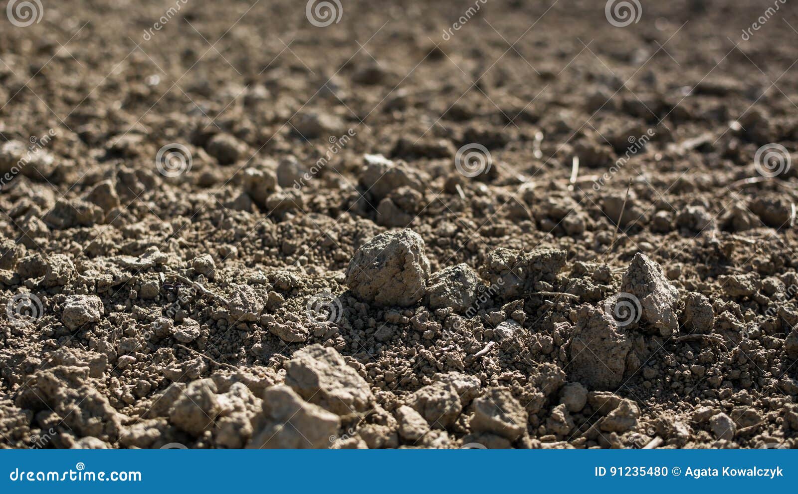 barren field during drought
