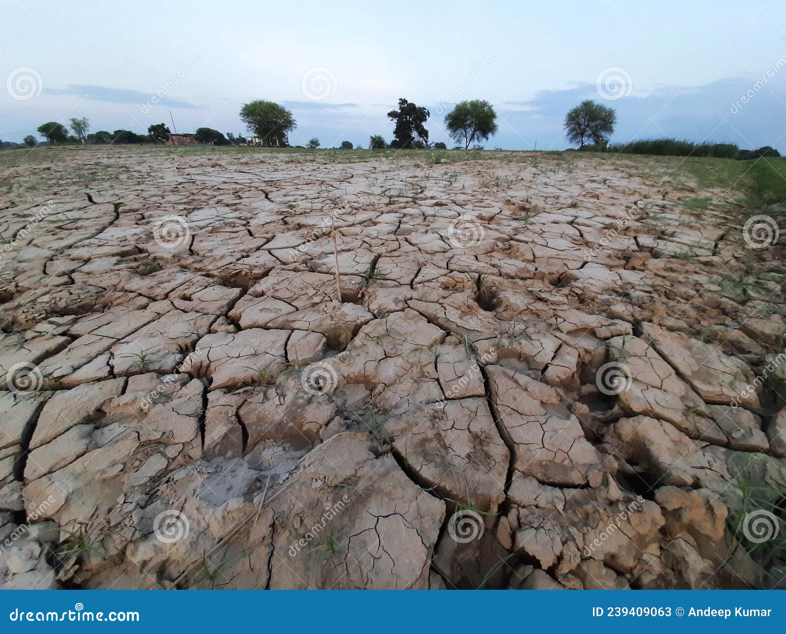 Barren Land stock image. Image of badlands, landscape 239409063