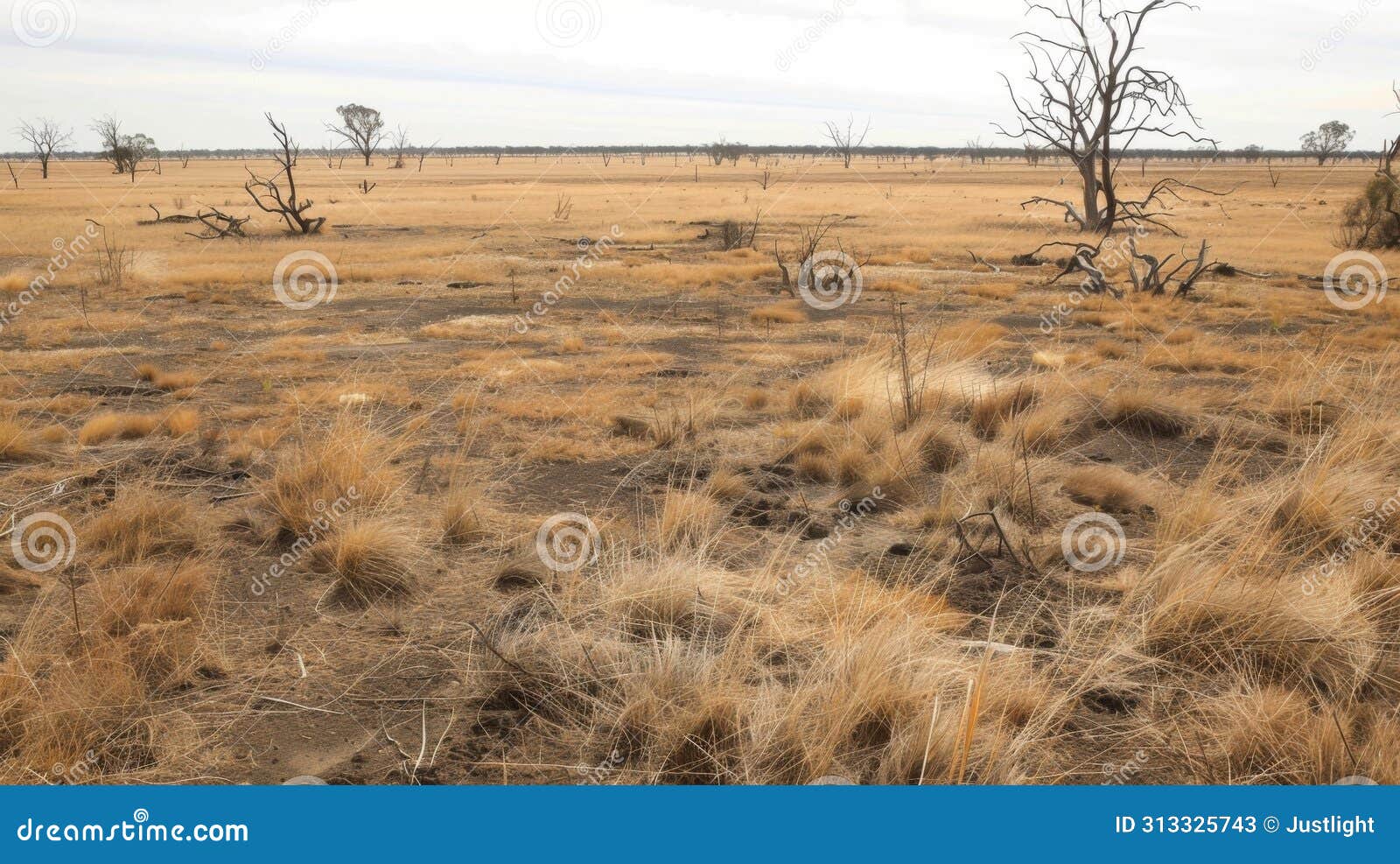a barren plain with patches of wilted grass and a few struggling trees. acid rain has robbed the soil of its essential