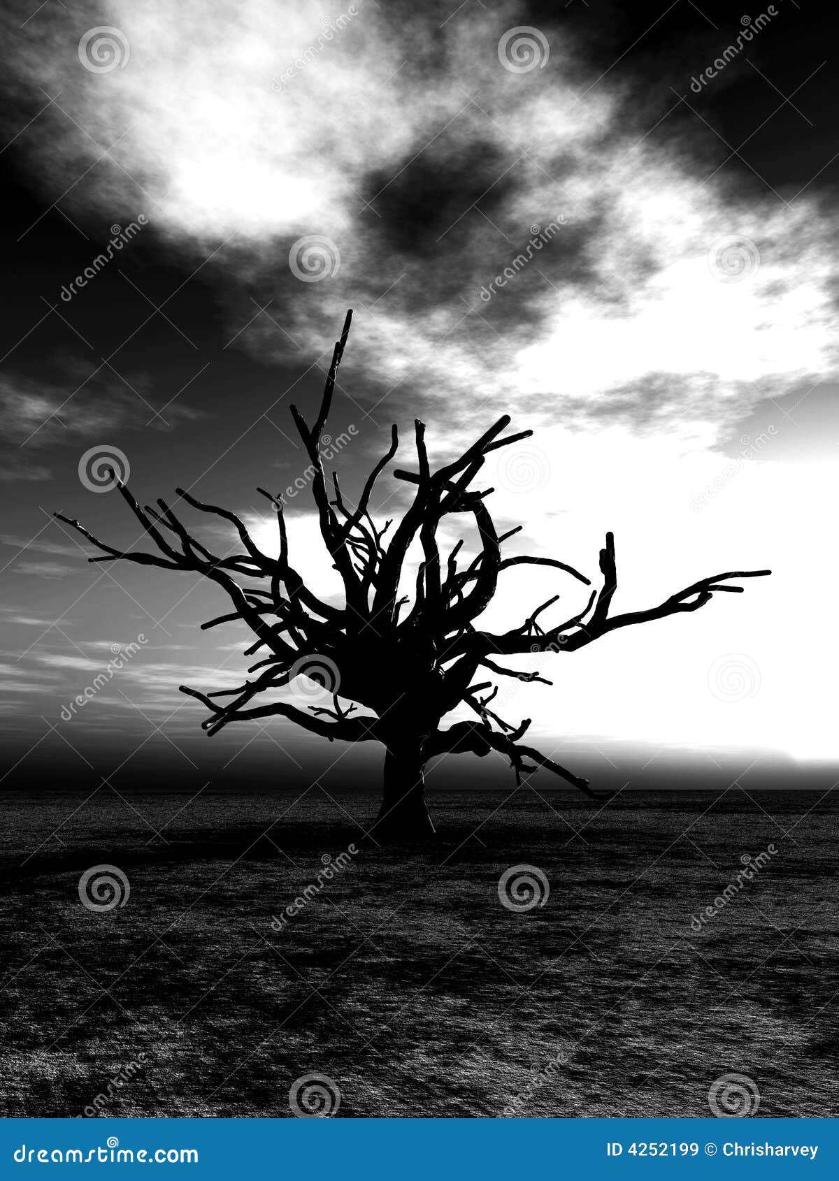 barren tree 24