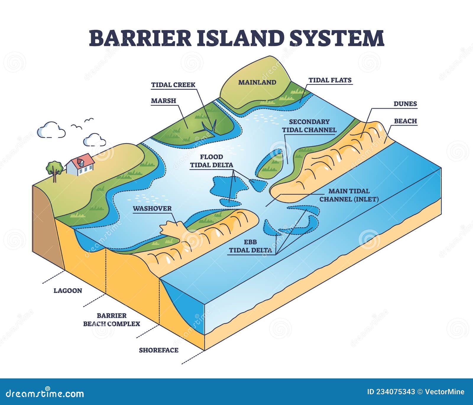 barrier island system as dune type and coastal landforms outline diagram