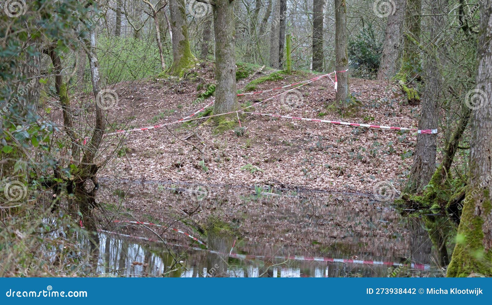 Barrier Tape in a Forest, What Has Happened Here Stock Photo Image of