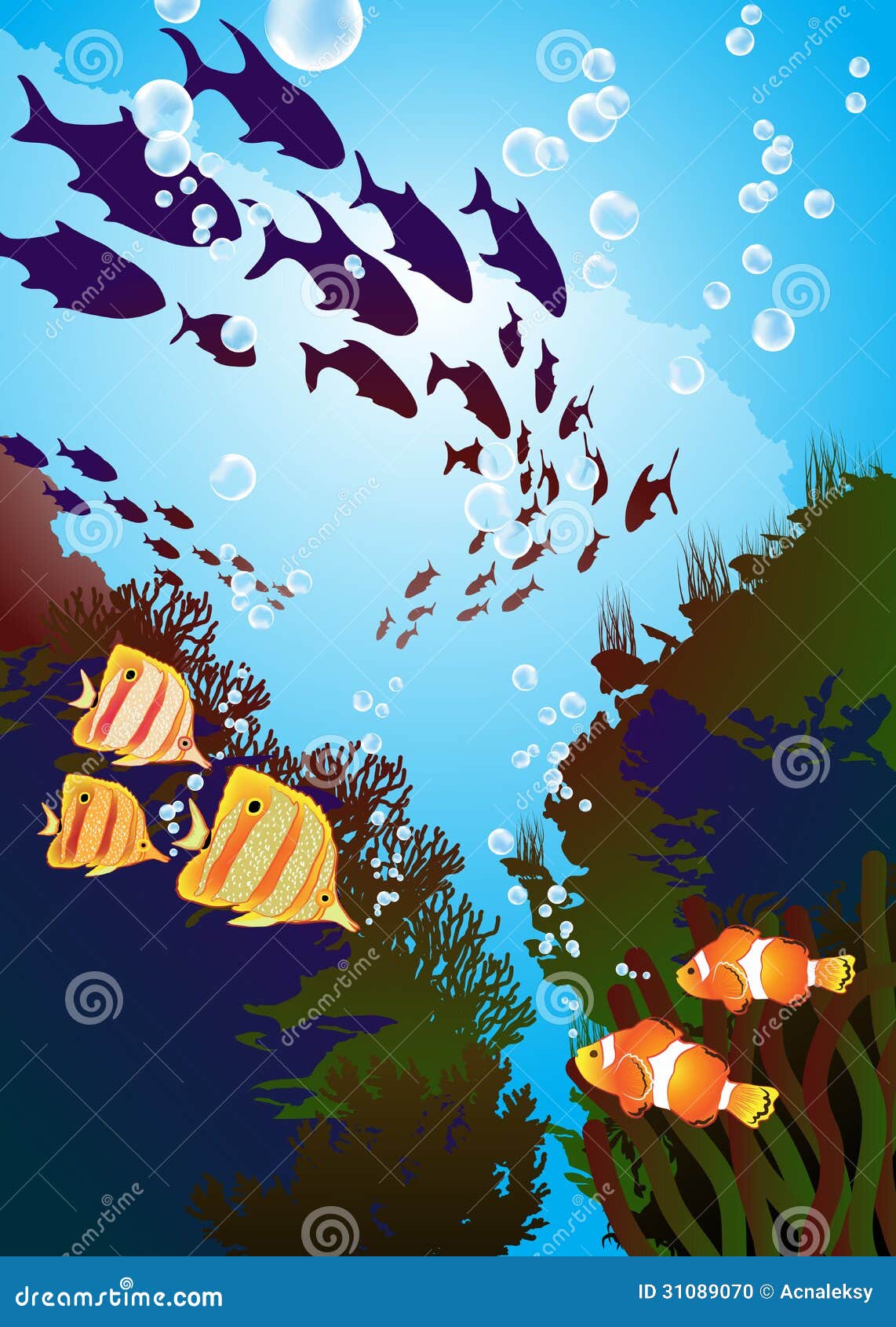 Barriere coralline e pesci colorati