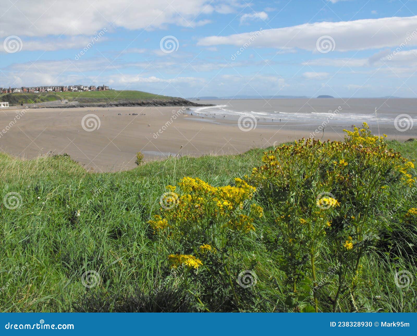 Barry Island Beach, South Wales Stock Photo Image of wales, buildings