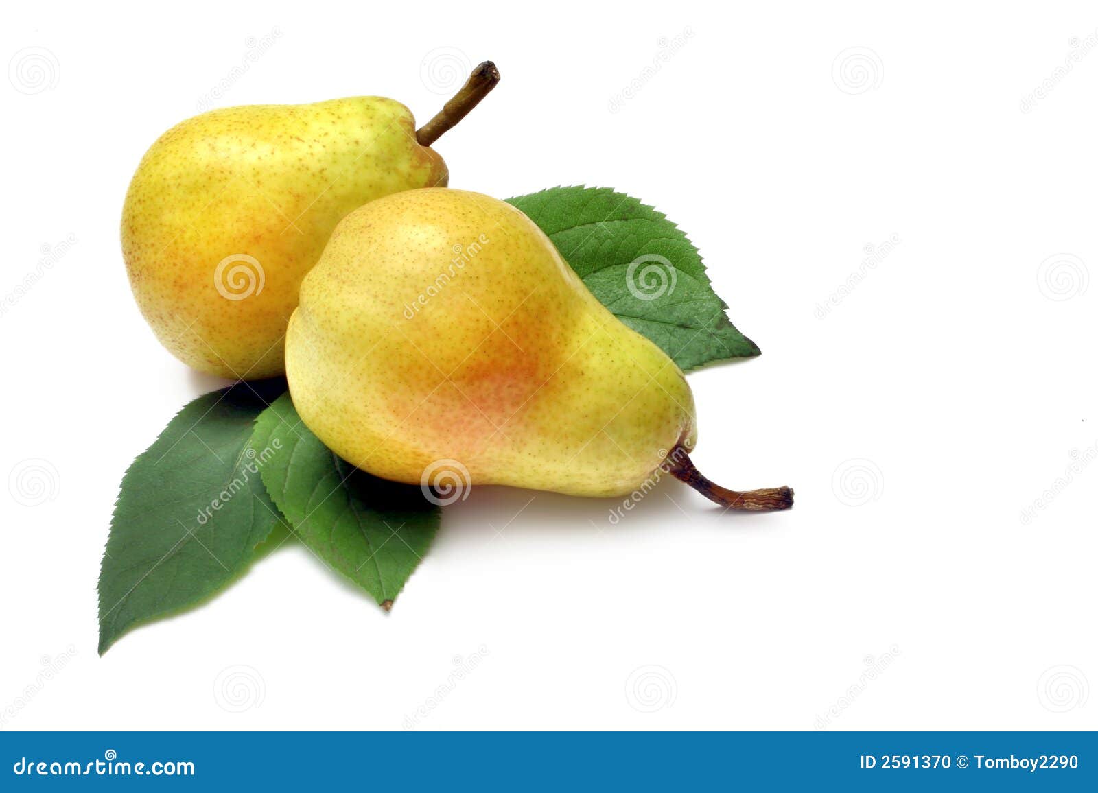 Bartlett Pear stock photo. Image of nutrition, pear, bartlett 2591370