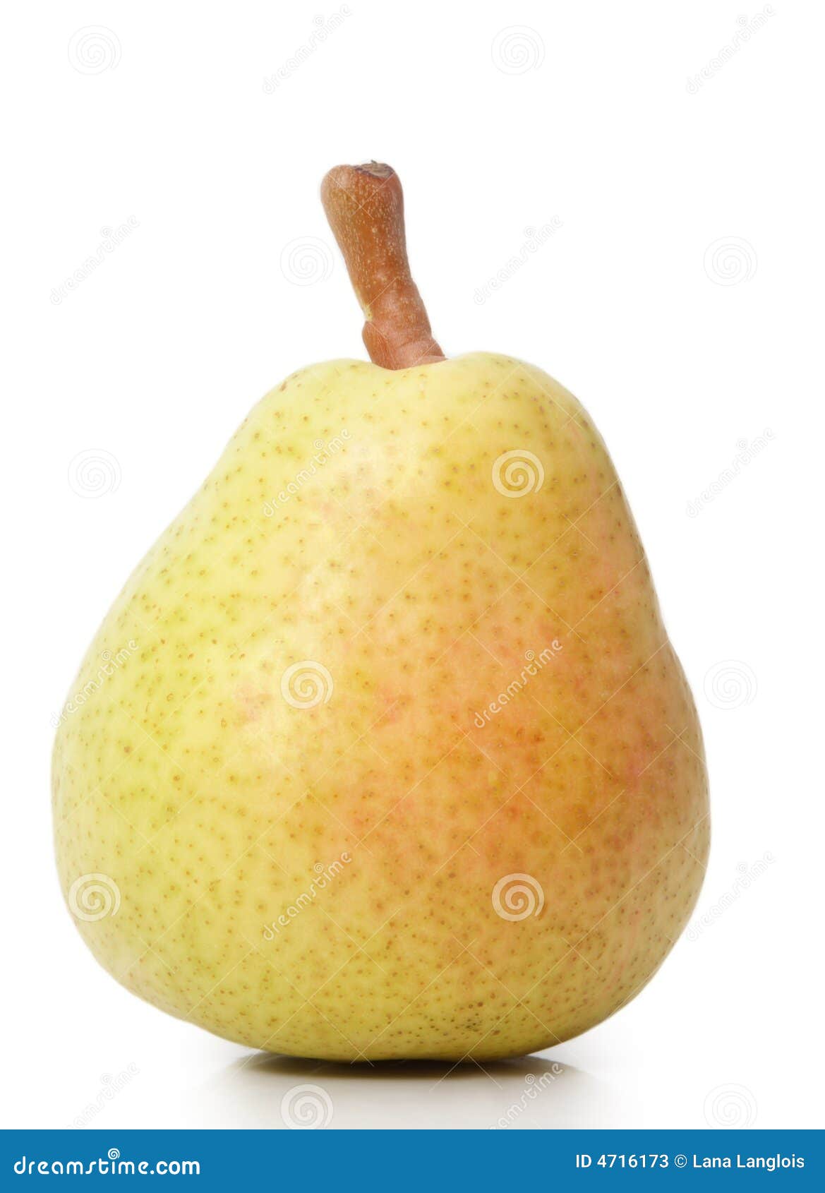Bartlett pears stock image. Image of cutout, bartlett 4716173