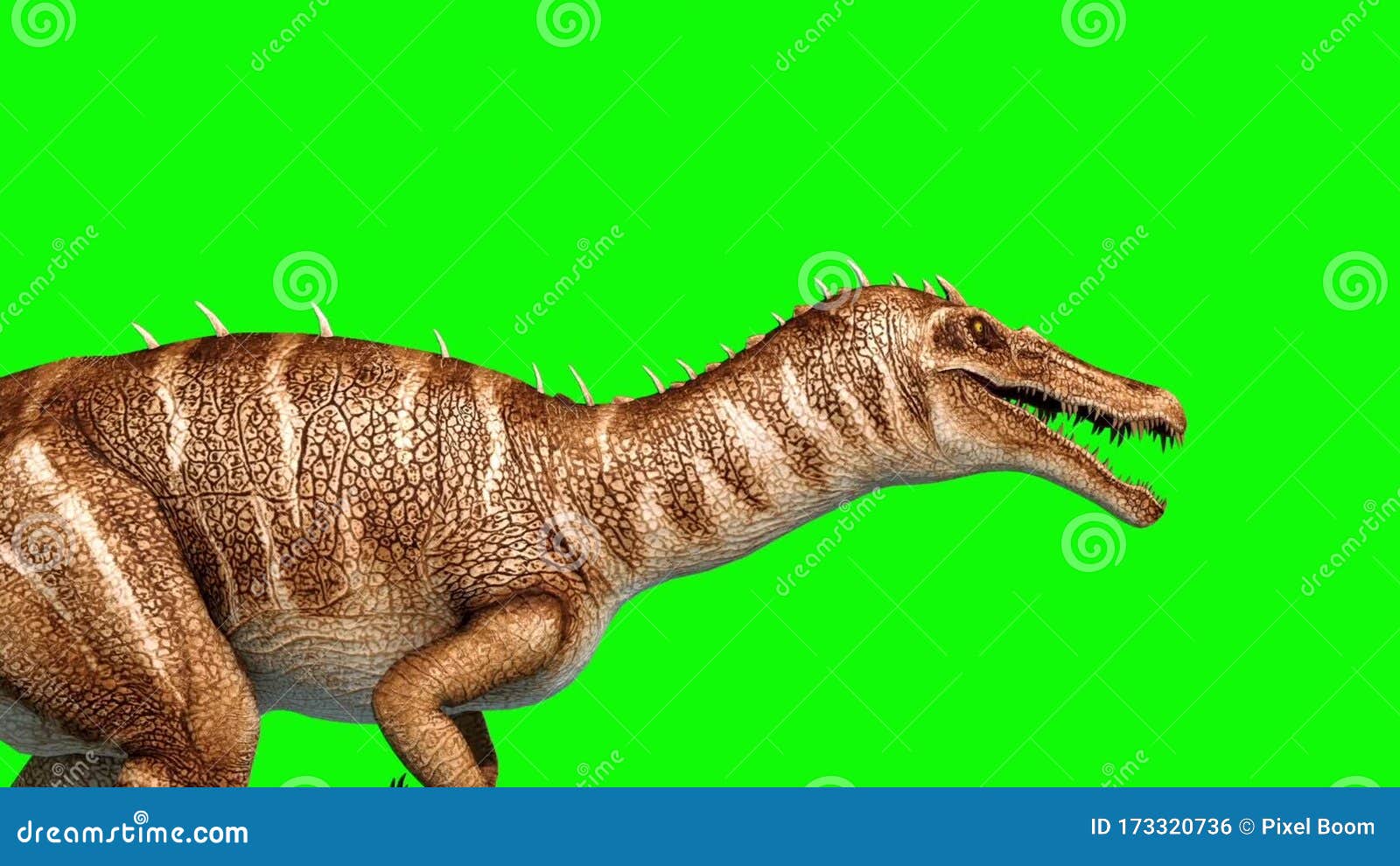 Trex Dinosaurs - 3D Animation - PixelBoom