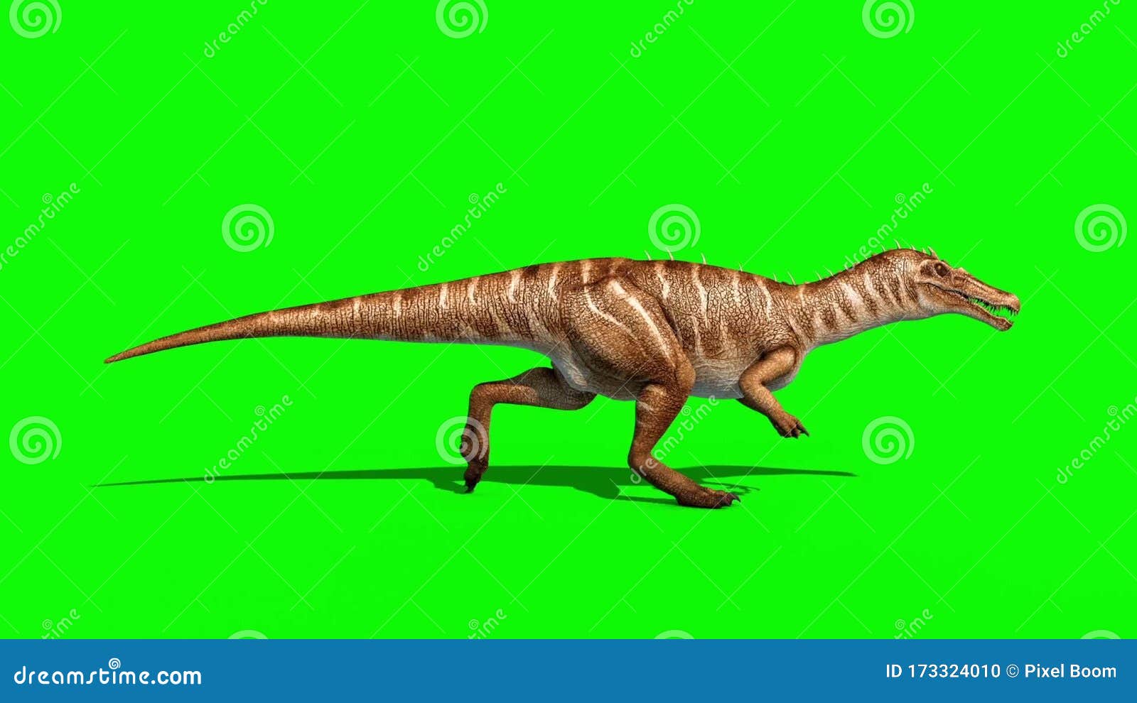 Trex Dinosaurs - 3D Animation - PixelBoom