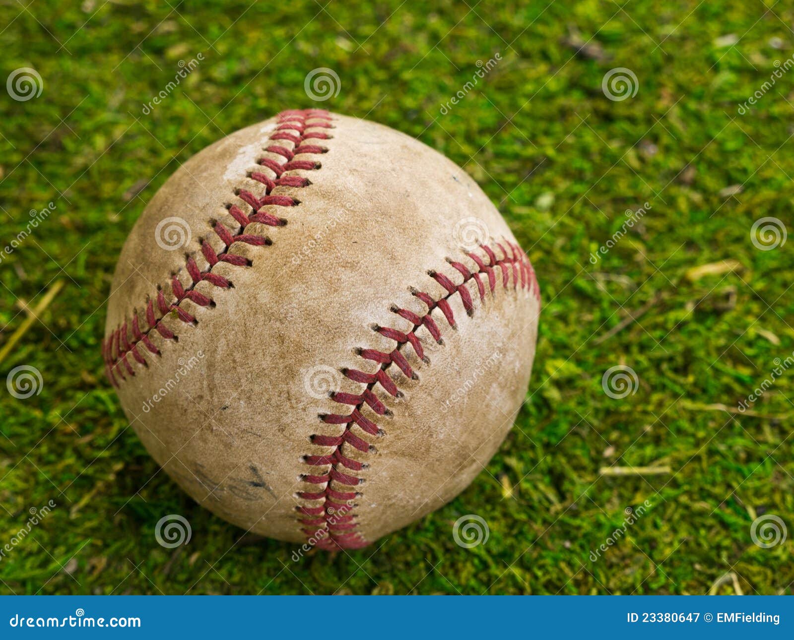 Baseball stock image. Image of indoors, closeup, grass 23380647