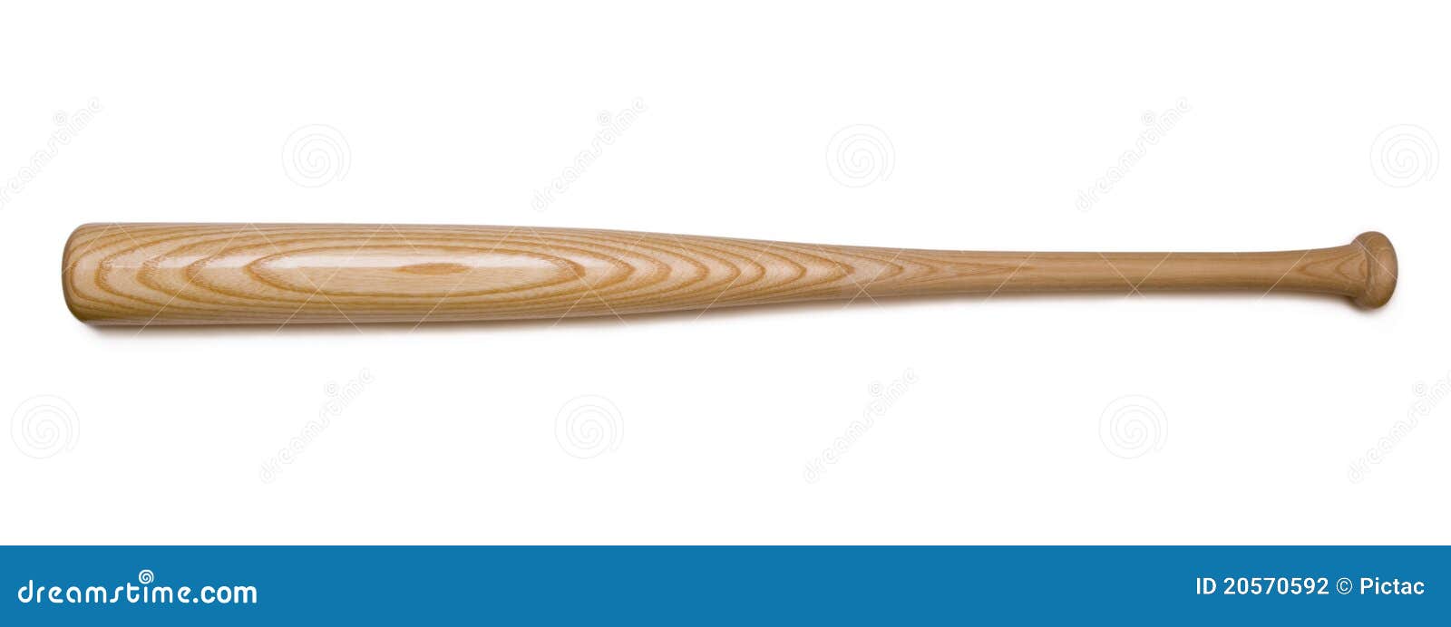 Baseball bat stock photo. Image of athlete, team, objects 20570592