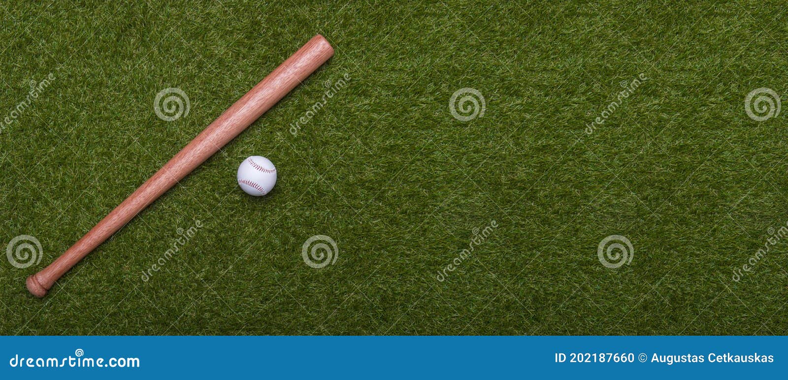 baseball bat and ball on green grass field.  sport theme background with copy space for text and advertisment