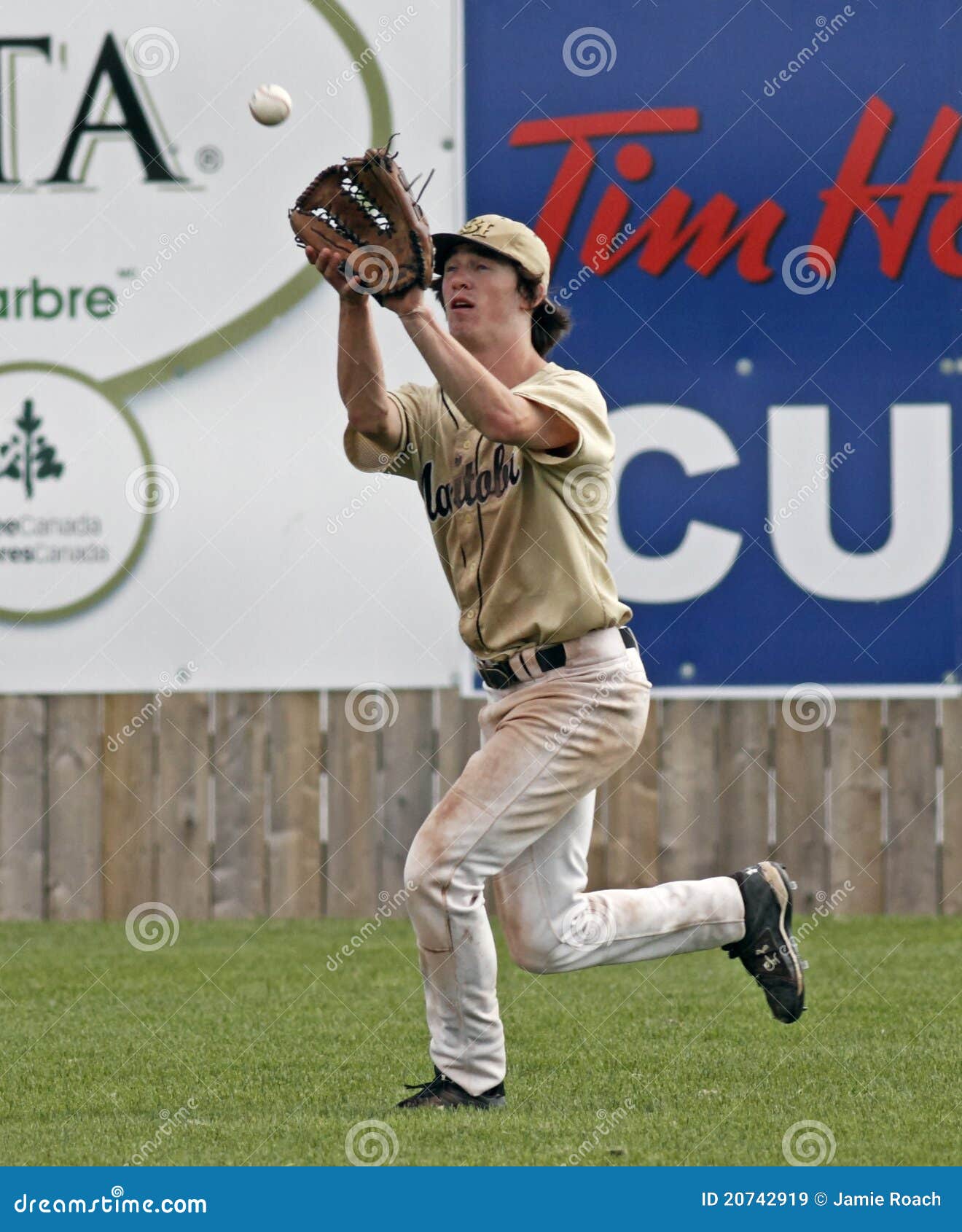 Baseball Canada Cup Glove Ball Outfield Editorial Stock Image Image