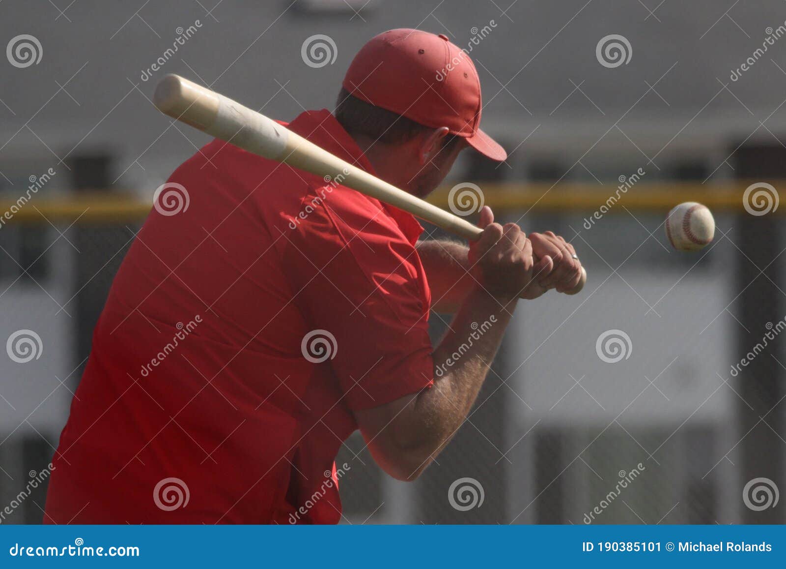 Baseball Coach Hitting Fungos during Practice Editorial Photo Image