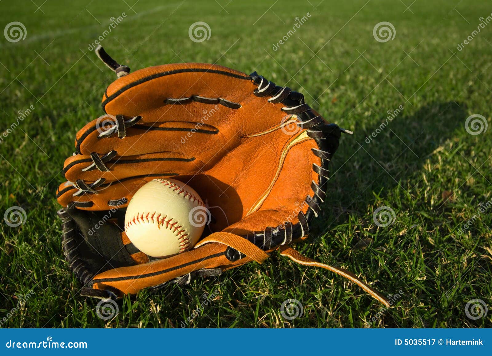 Baseball Glove with Baseball on the Field Stock Image Image of hard